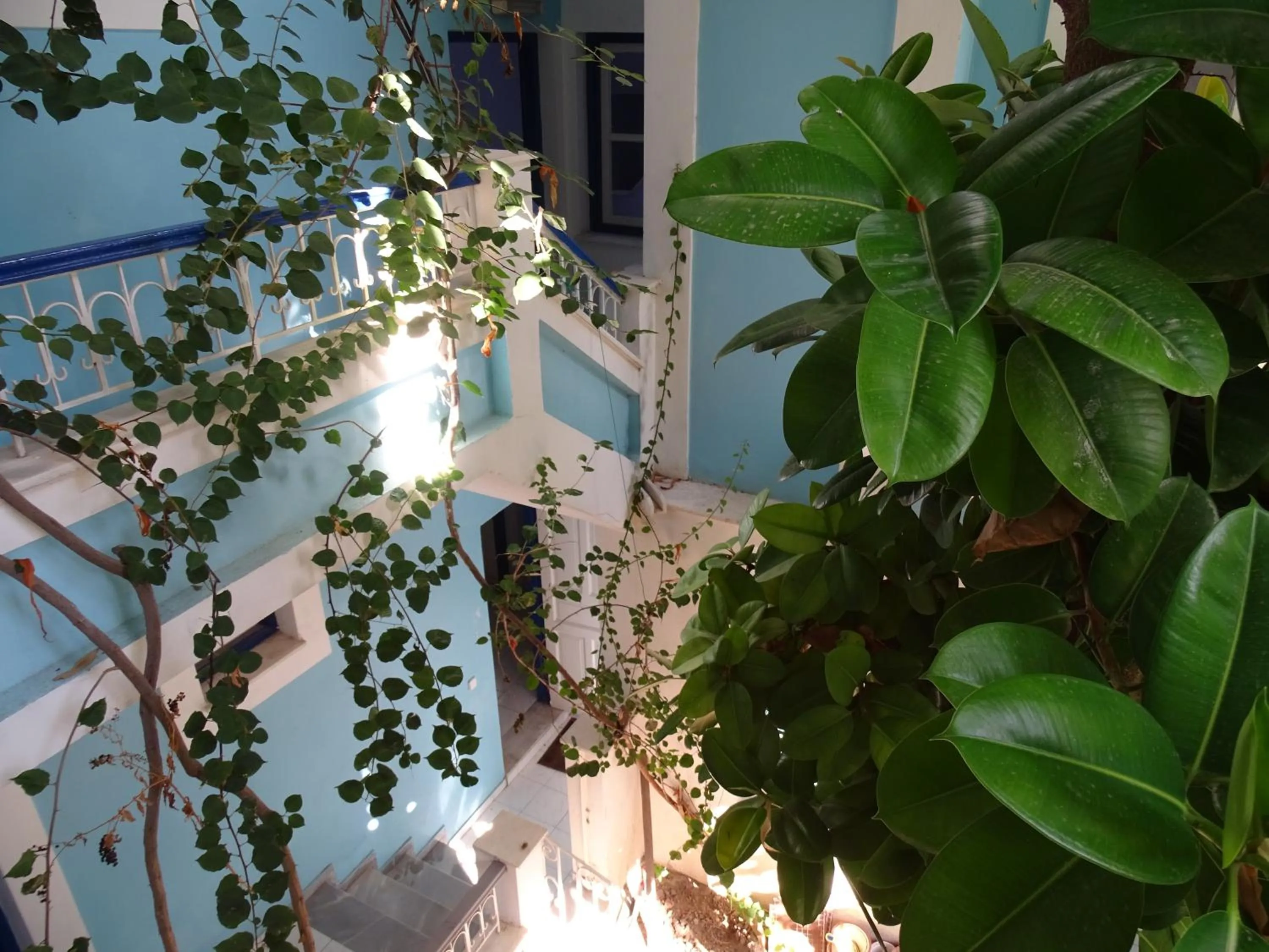 Garden view in Hotel Mariona