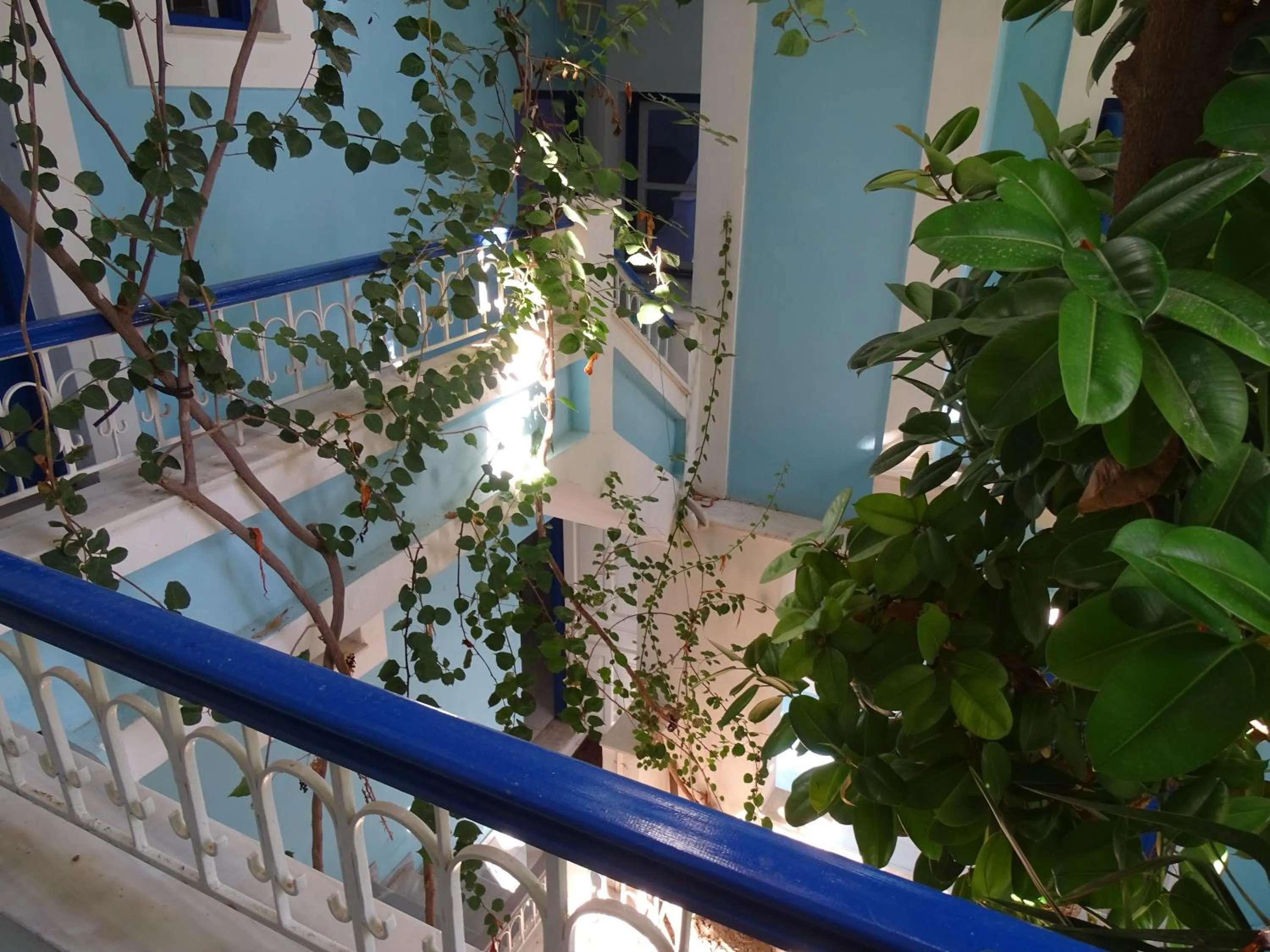 Garden in Hotel Mariona