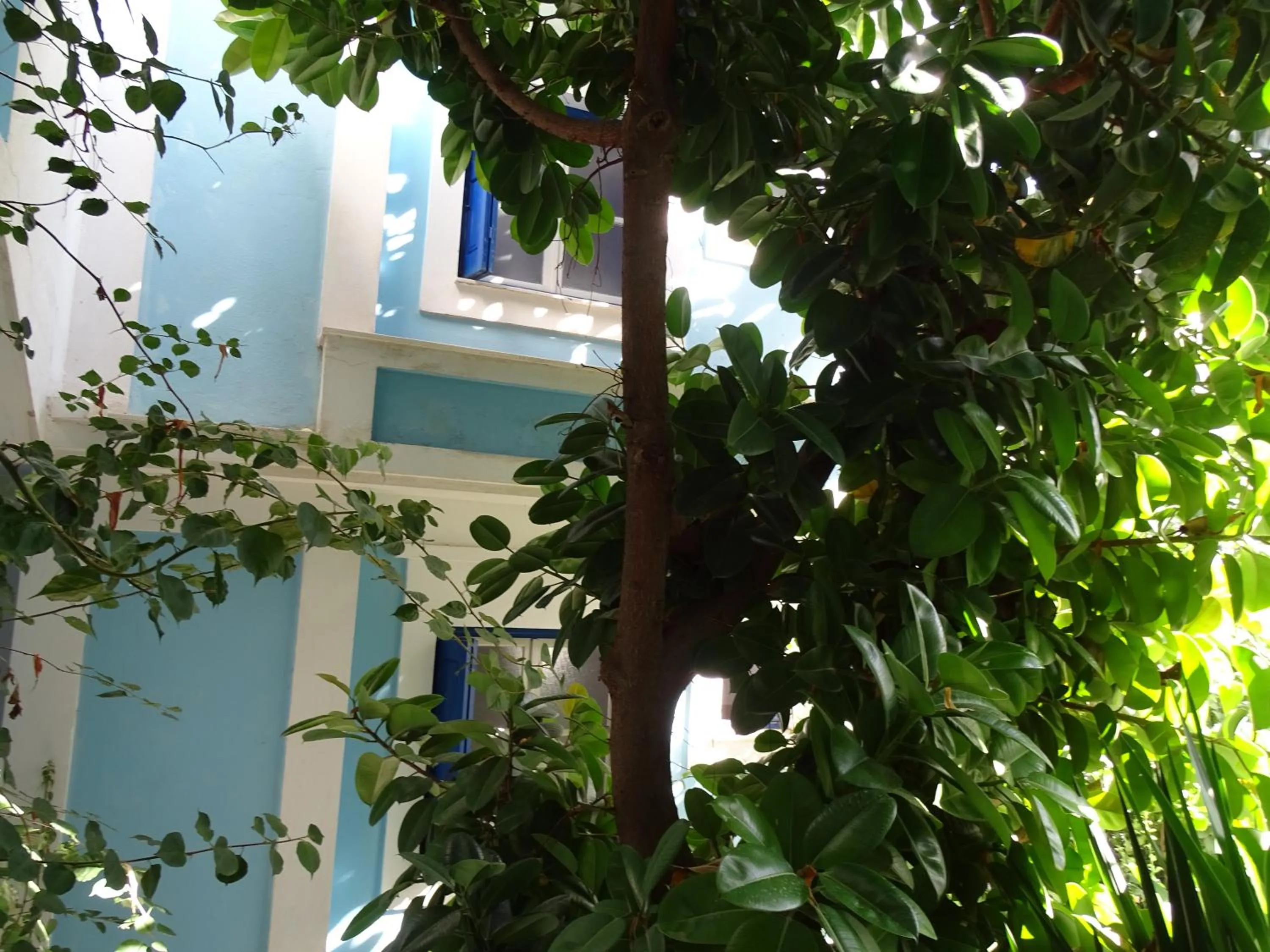 Garden in Hotel Mariona