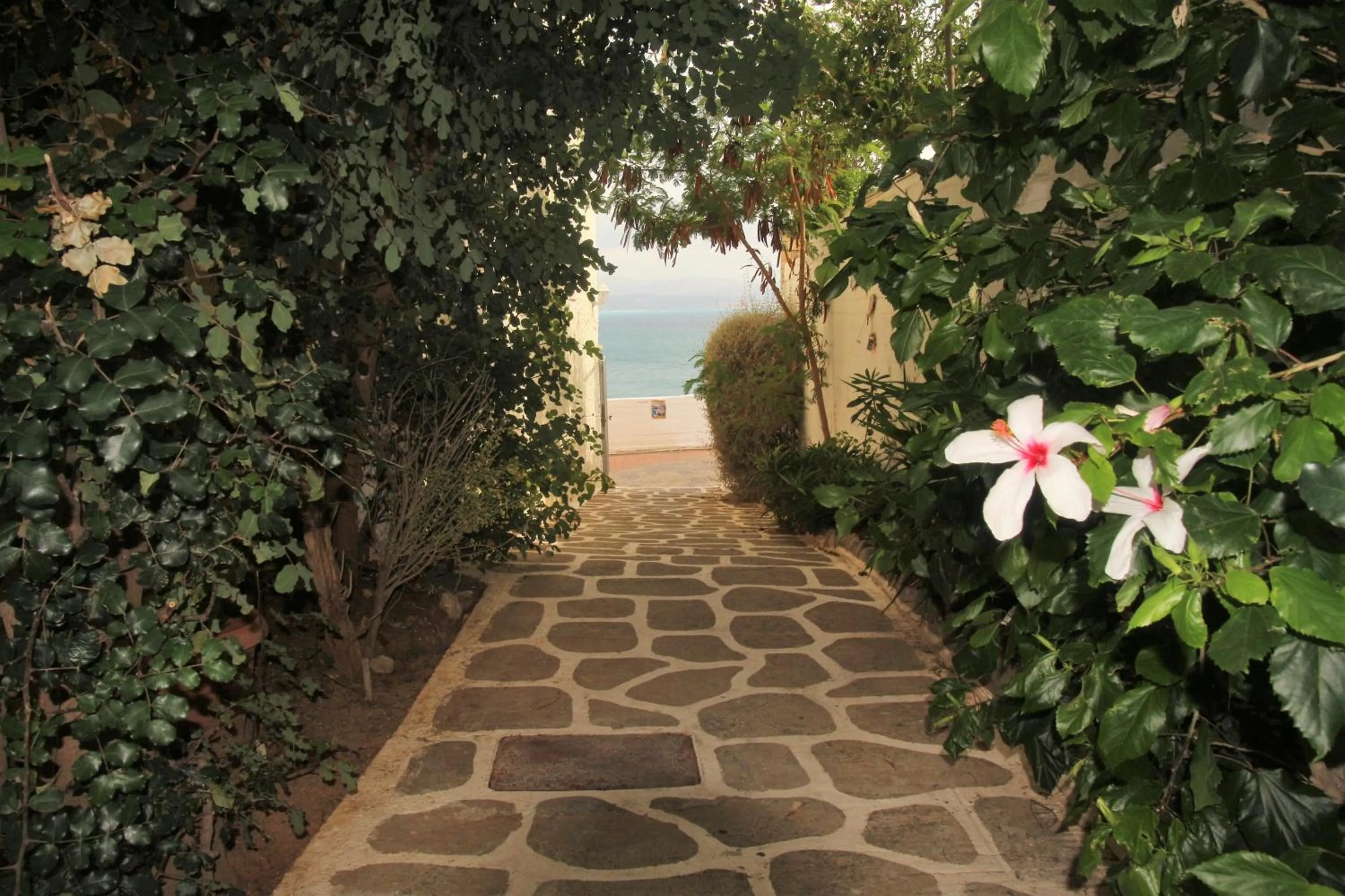 Garden view in Galini Mare