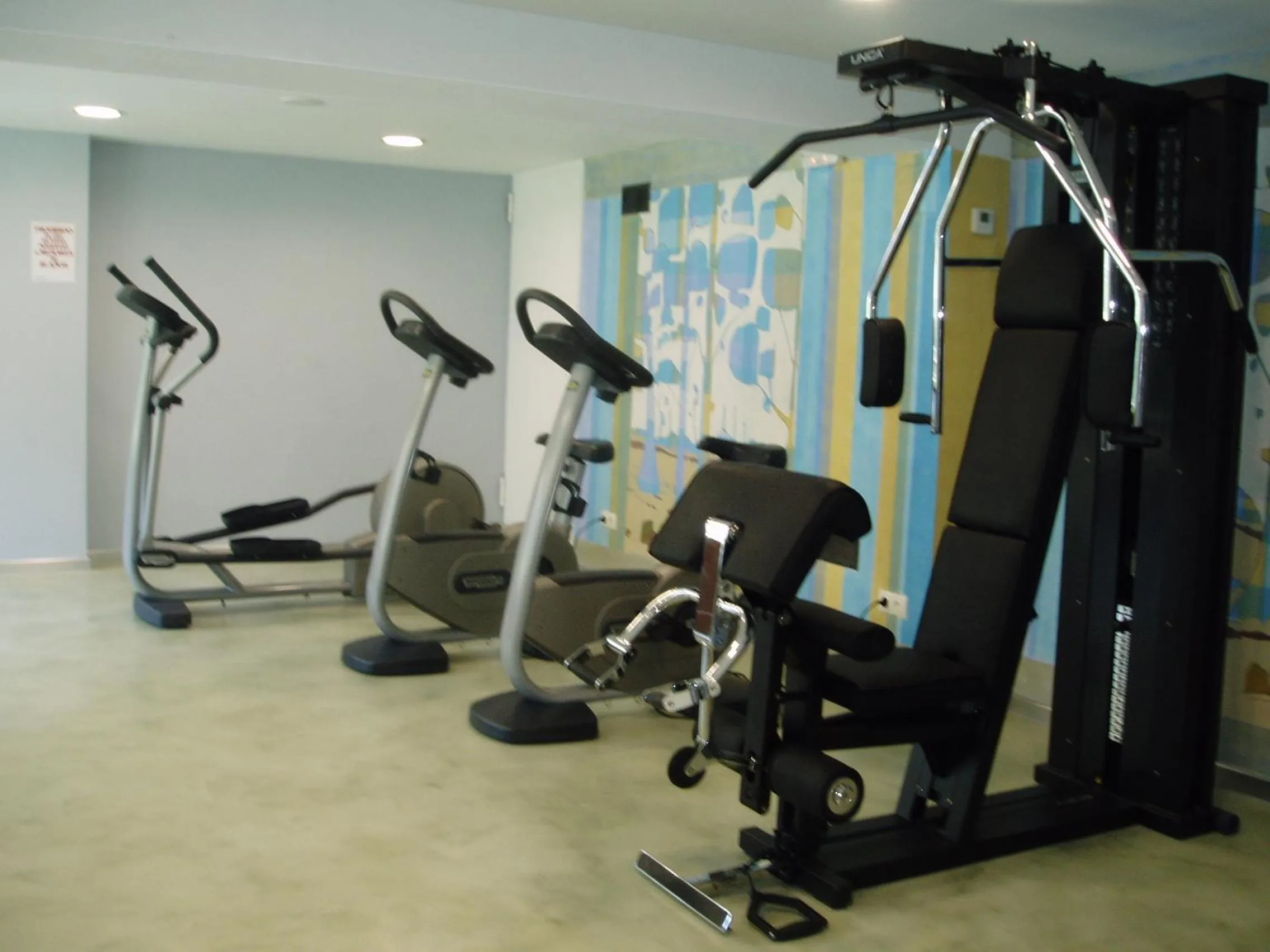 Fitness centre/facilities in Hotel Villa de Torla