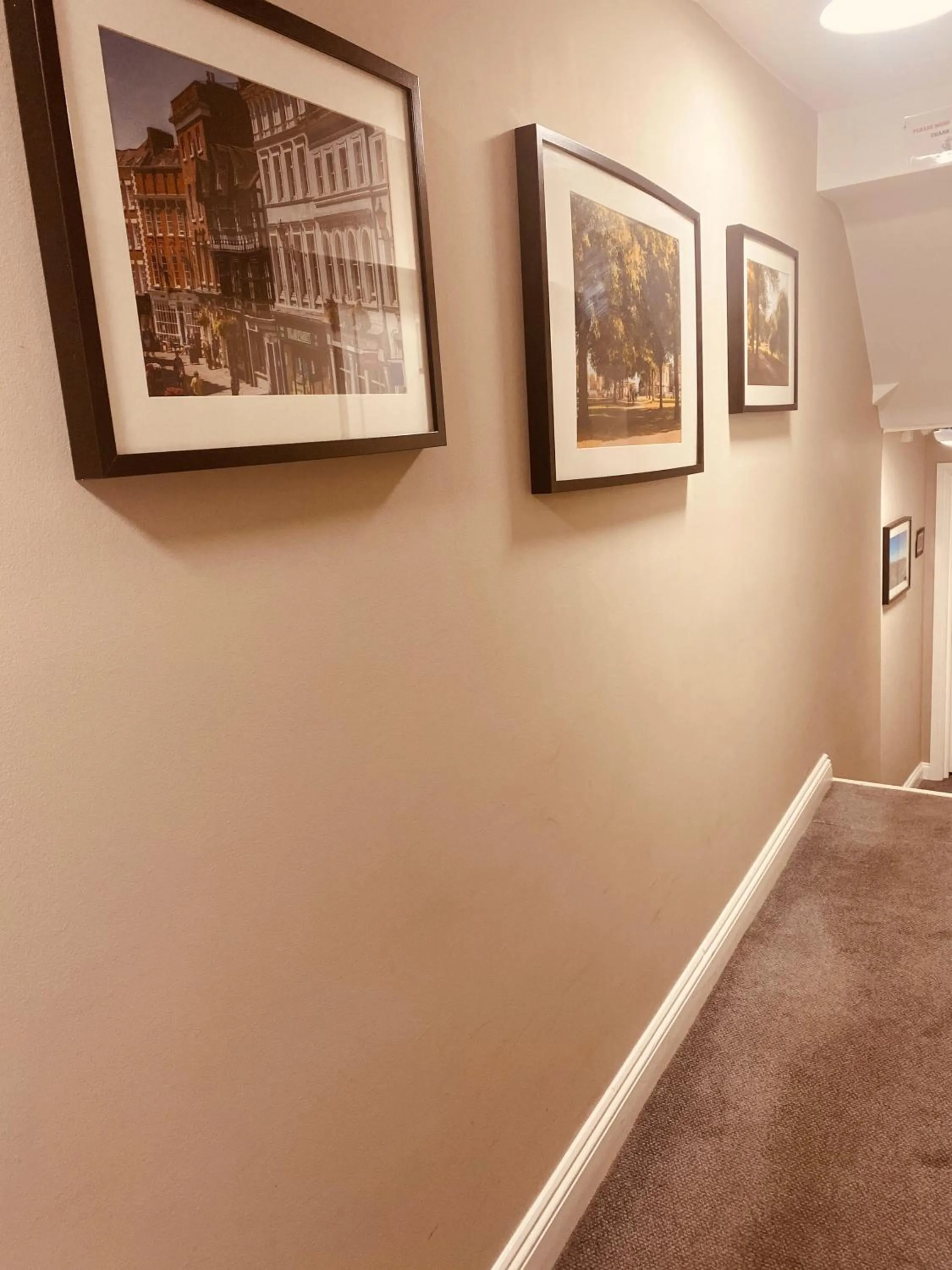 Area and facilities in The Loopy Shrew