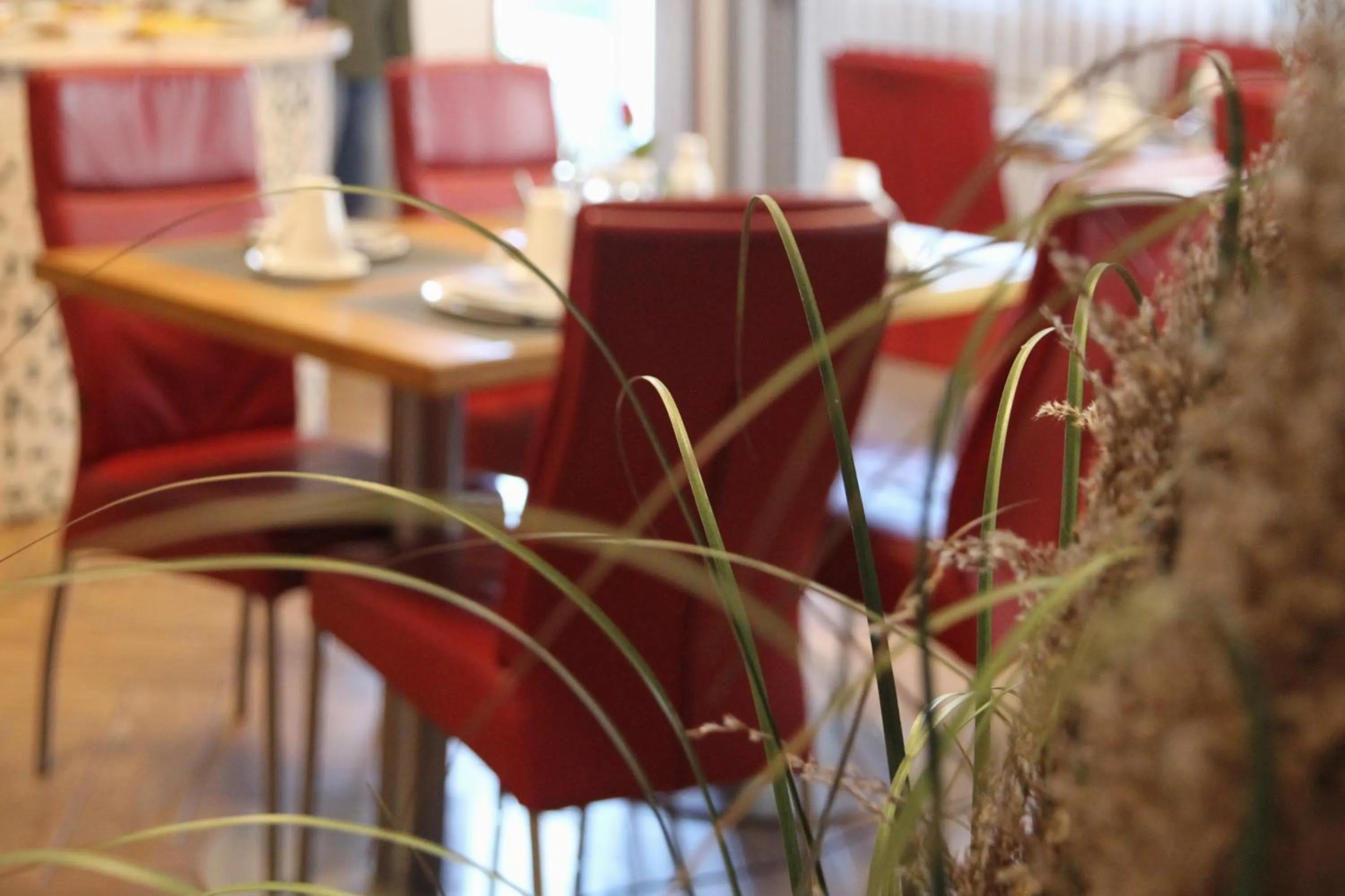 Restaurant/places to eat in Goldener Stern