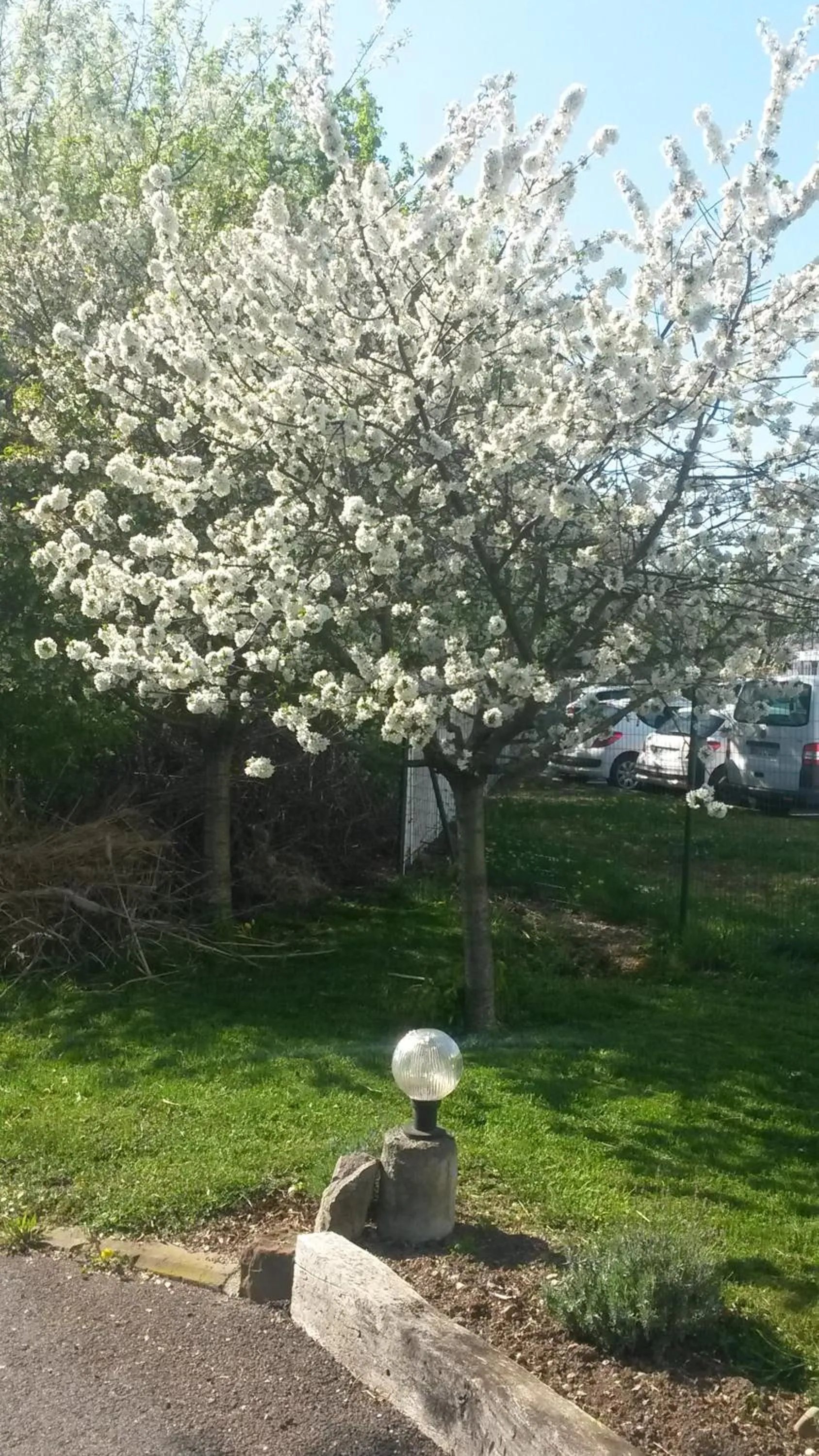 Restaurant/places to eat in Les Logis D'Espale