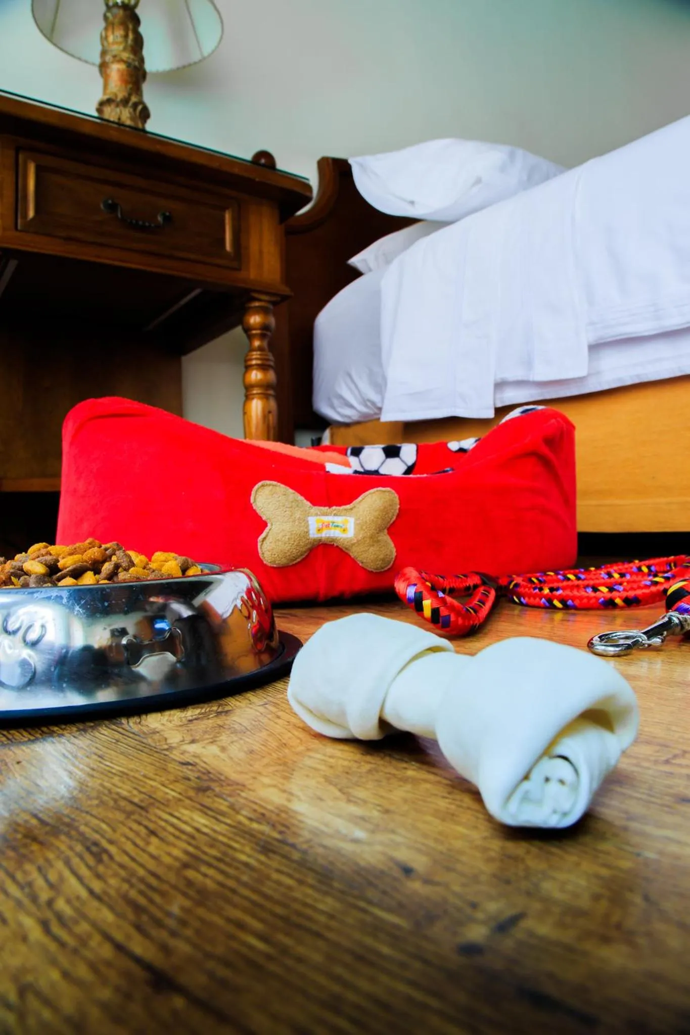 Pets in Porta Hotel Antigua