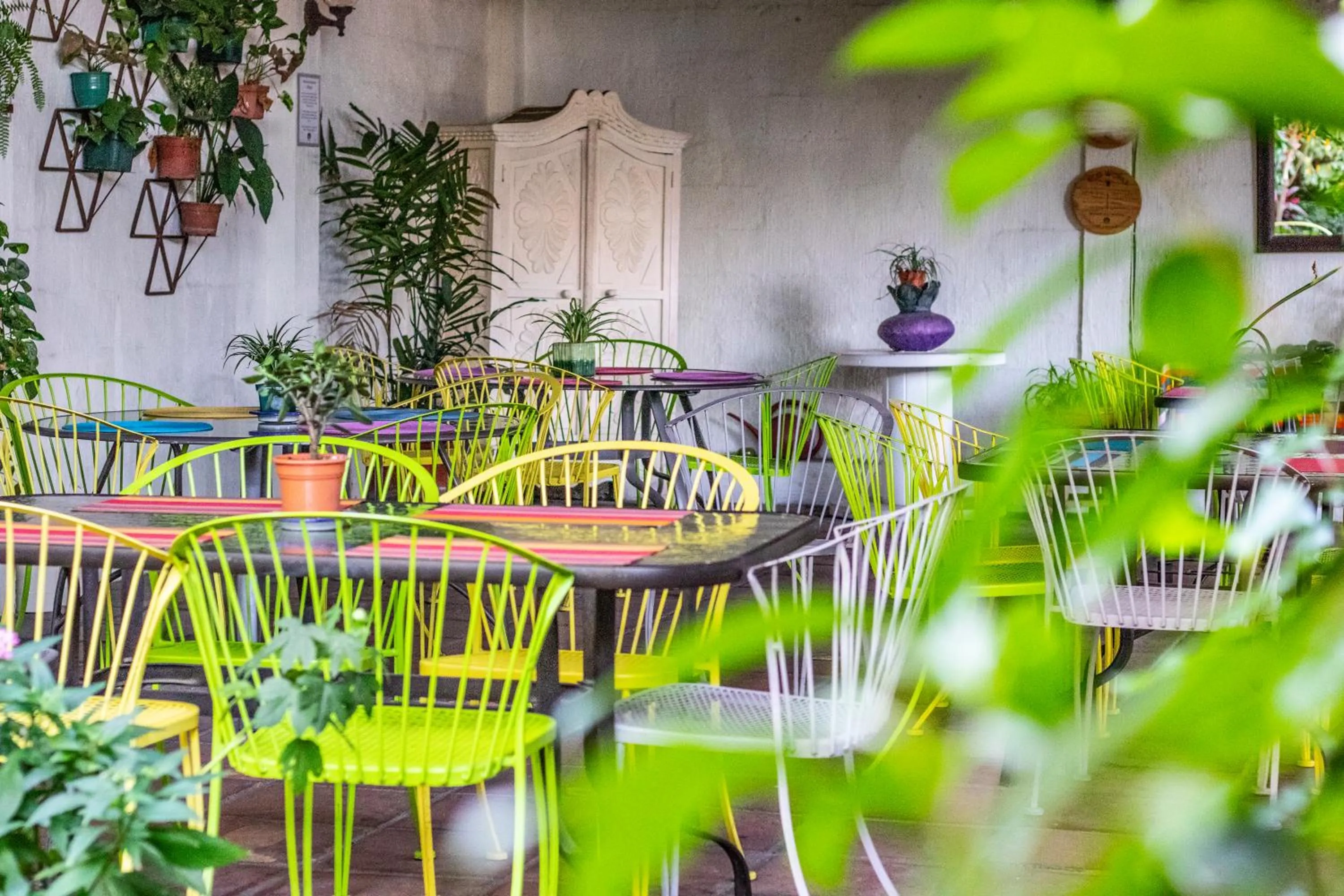 Restaurant/places to eat in Arbol de Fuego Eco-hotel