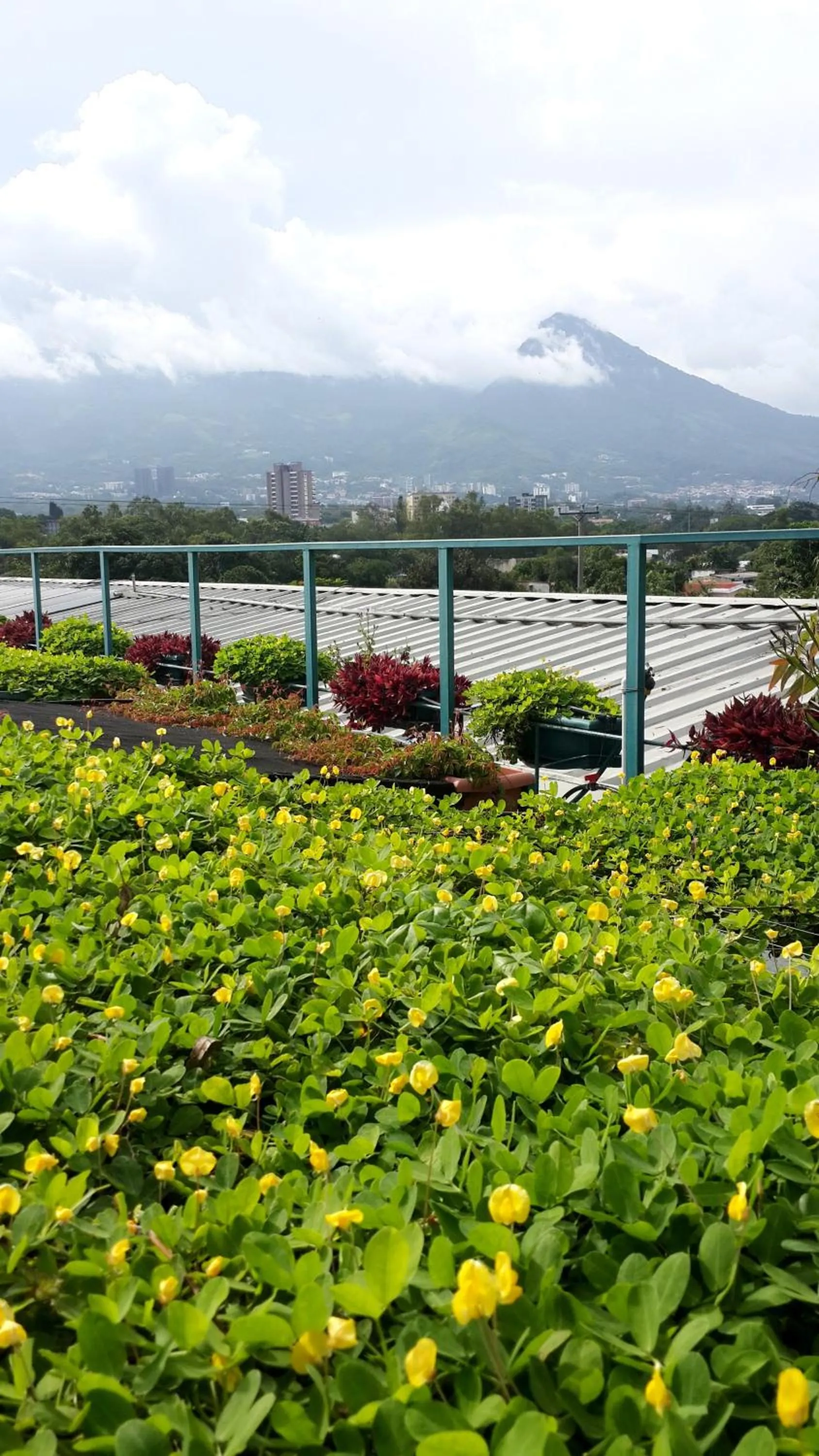 Bird's eye view in Arbol de Fuego Eco-hotel