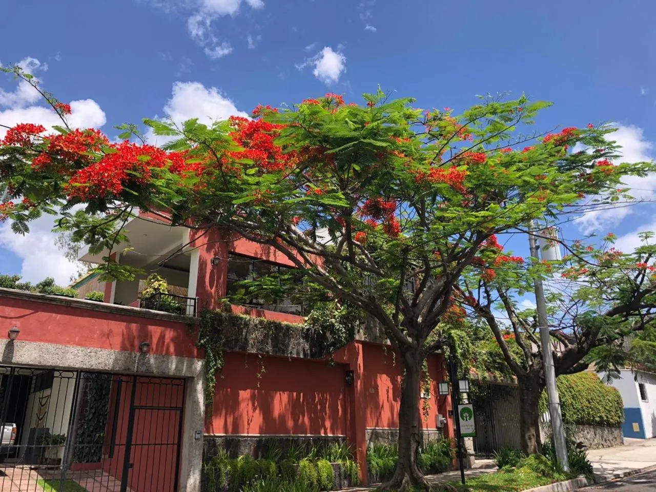 Arbol de Fuego Eco-hotel