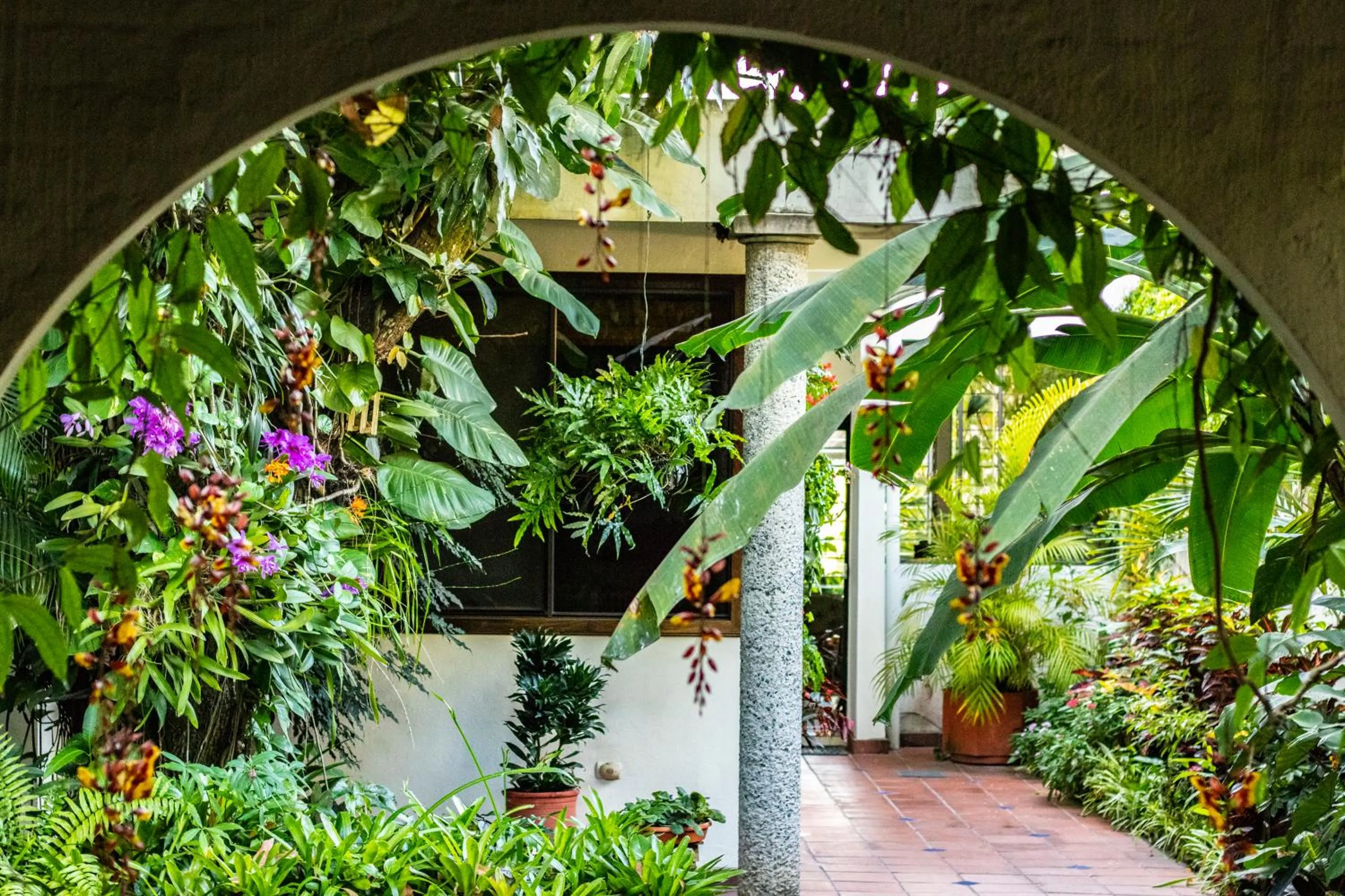 Garden in Arbol de Fuego Eco-hotel