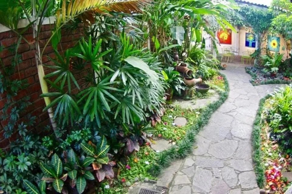 Arbol de Fuego Eco-hotel