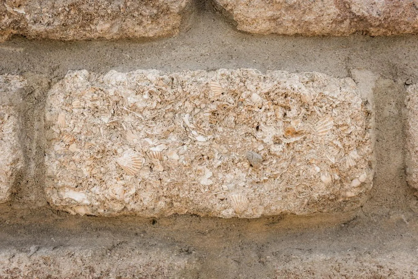 Property building in The Residence by the Beach House Marbella