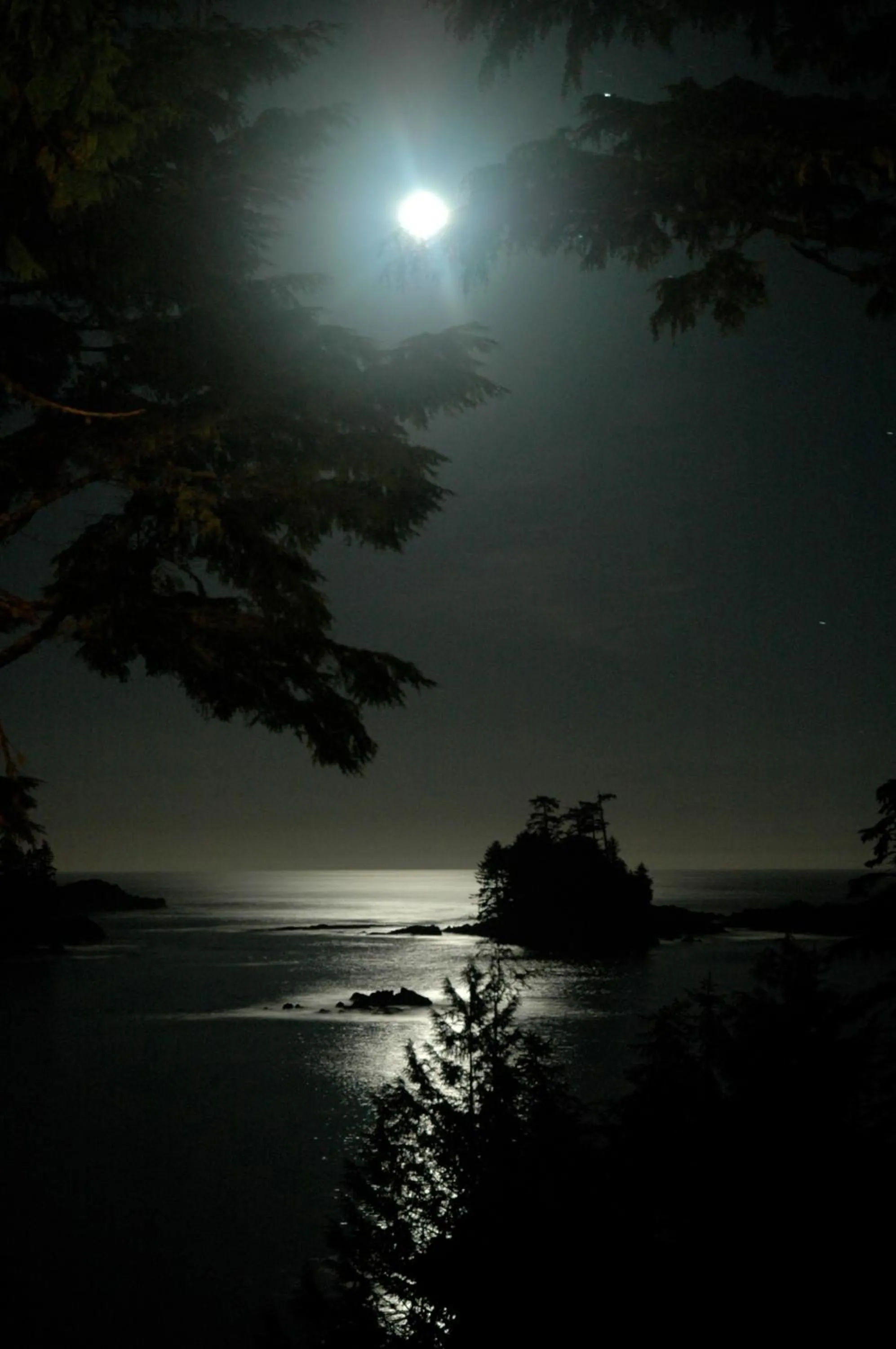 Night in Snug Harbour Inn