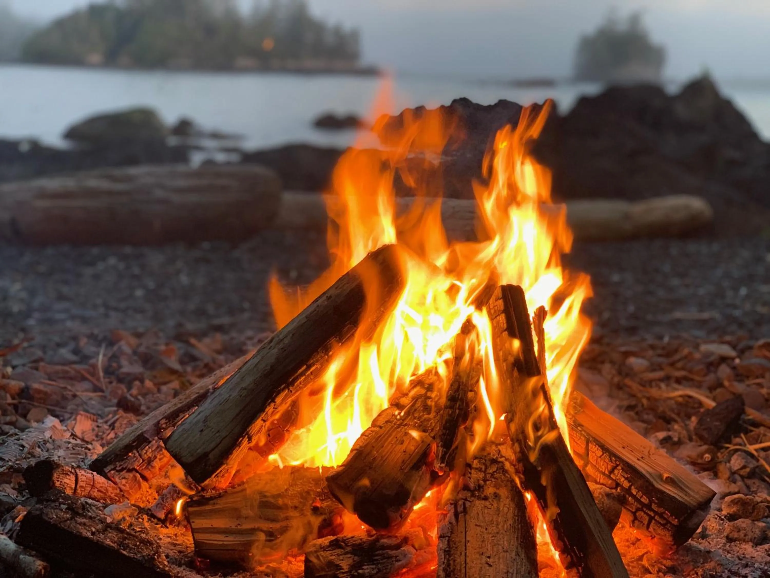 Natural landscape in Snug Harbour Inn