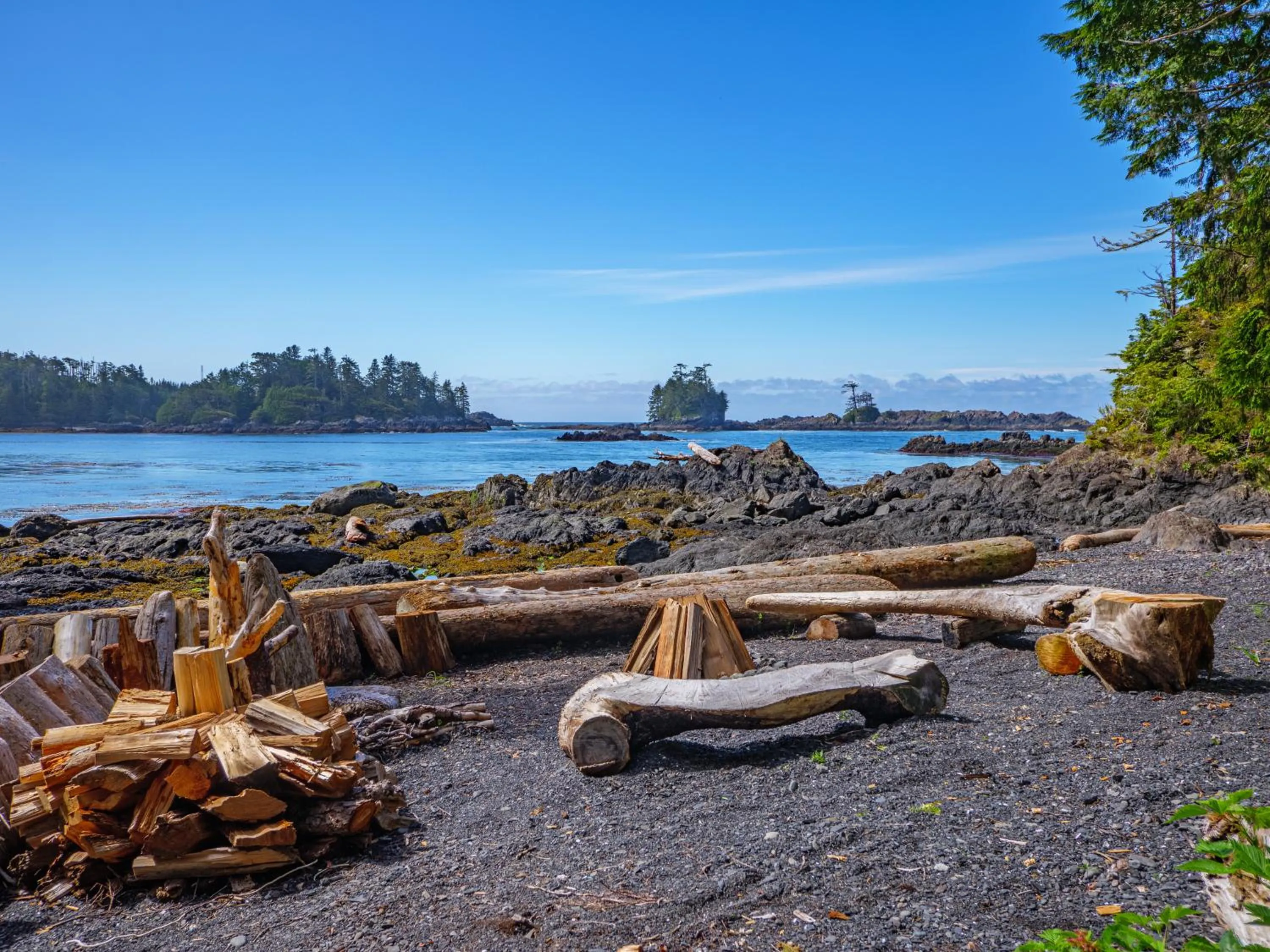 Natural landscape in Snug Harbour Inn
