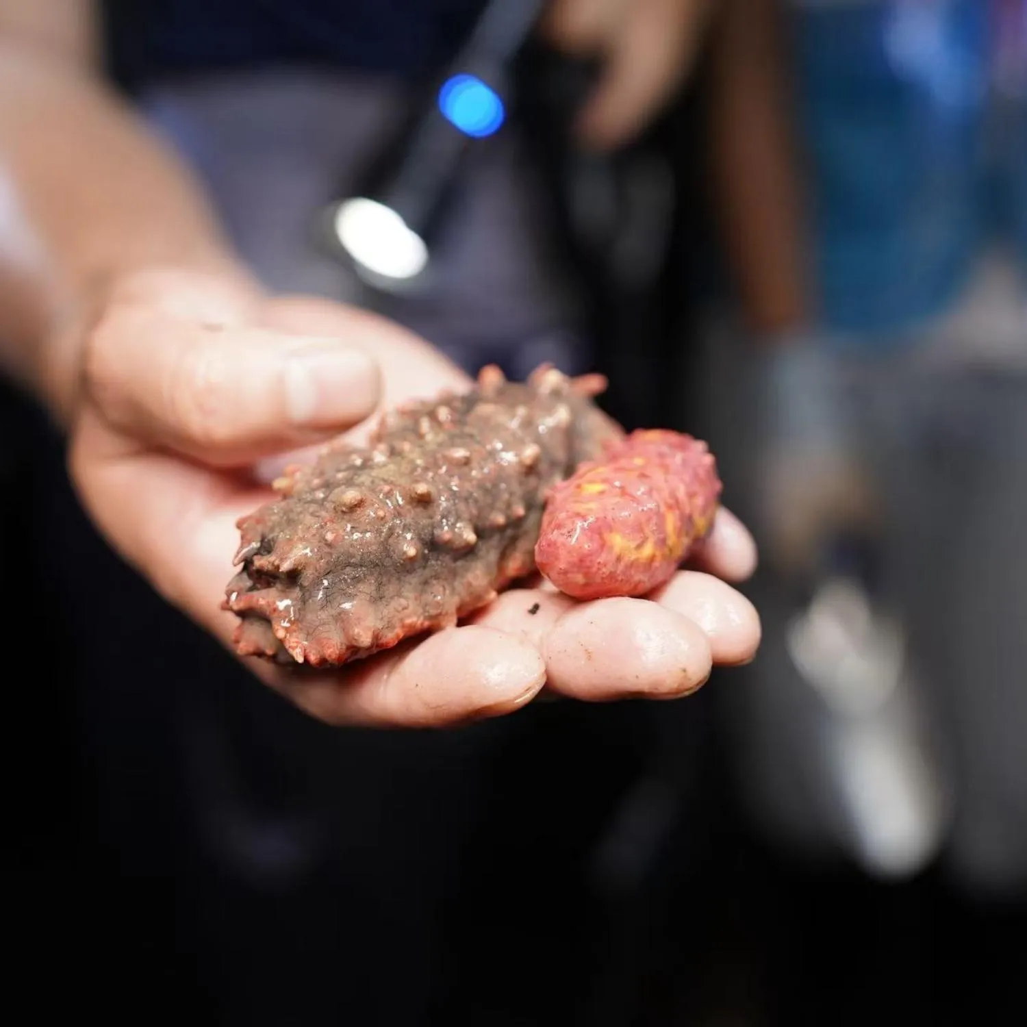 Xiamen International Conference Center Hotel Prime Seaview Hotel