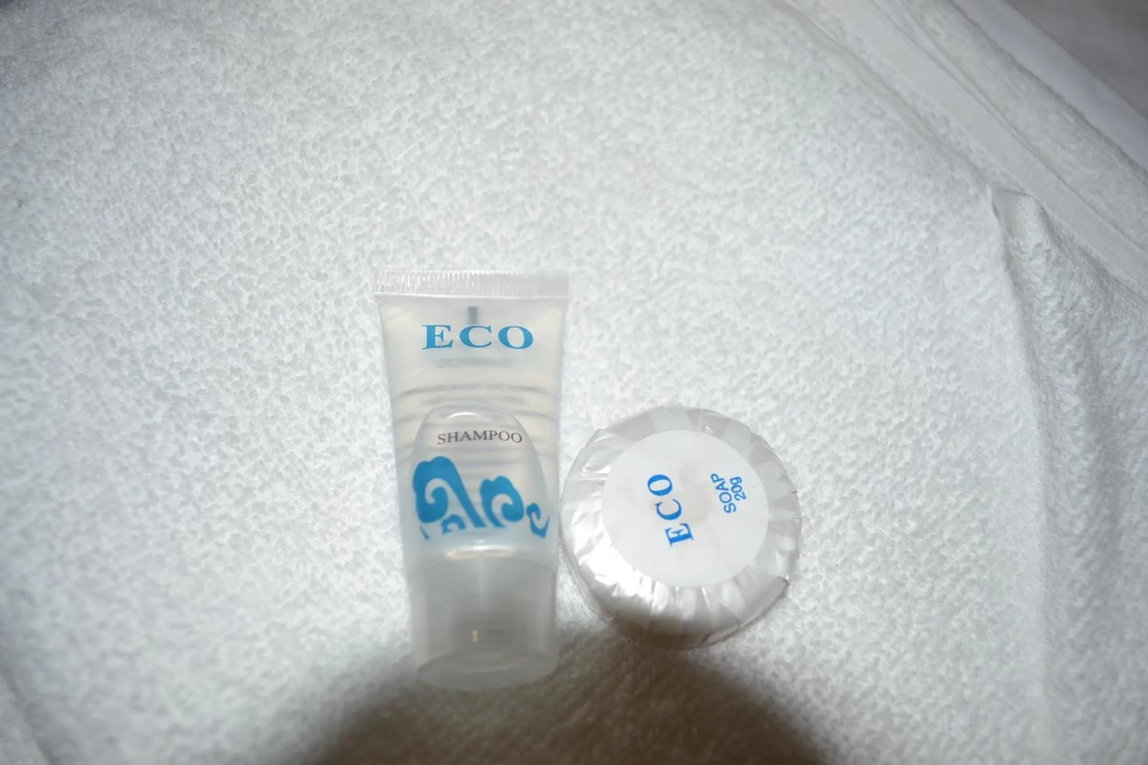 Shower in Hotel Rustaveli 36