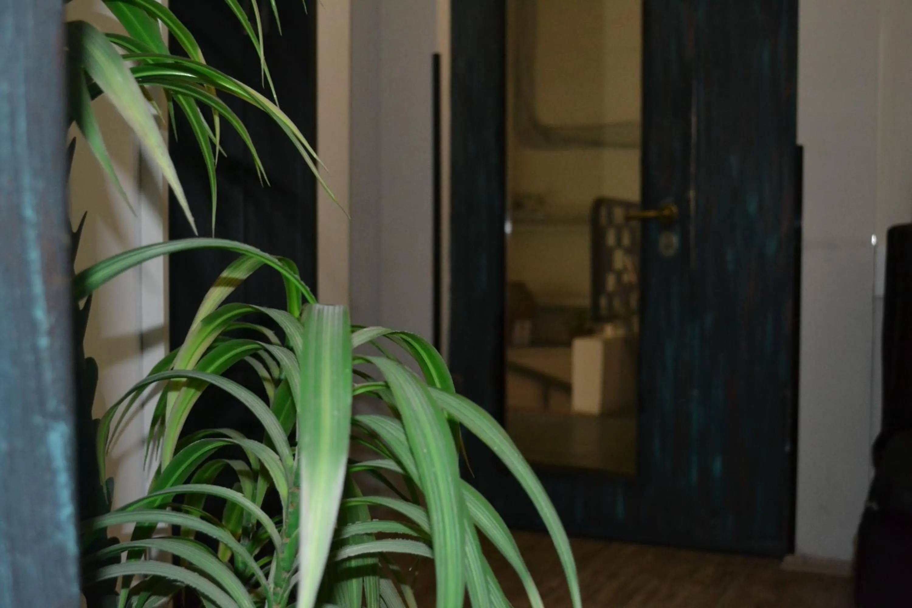 Facade/entrance in Hotel Rustaveli 36