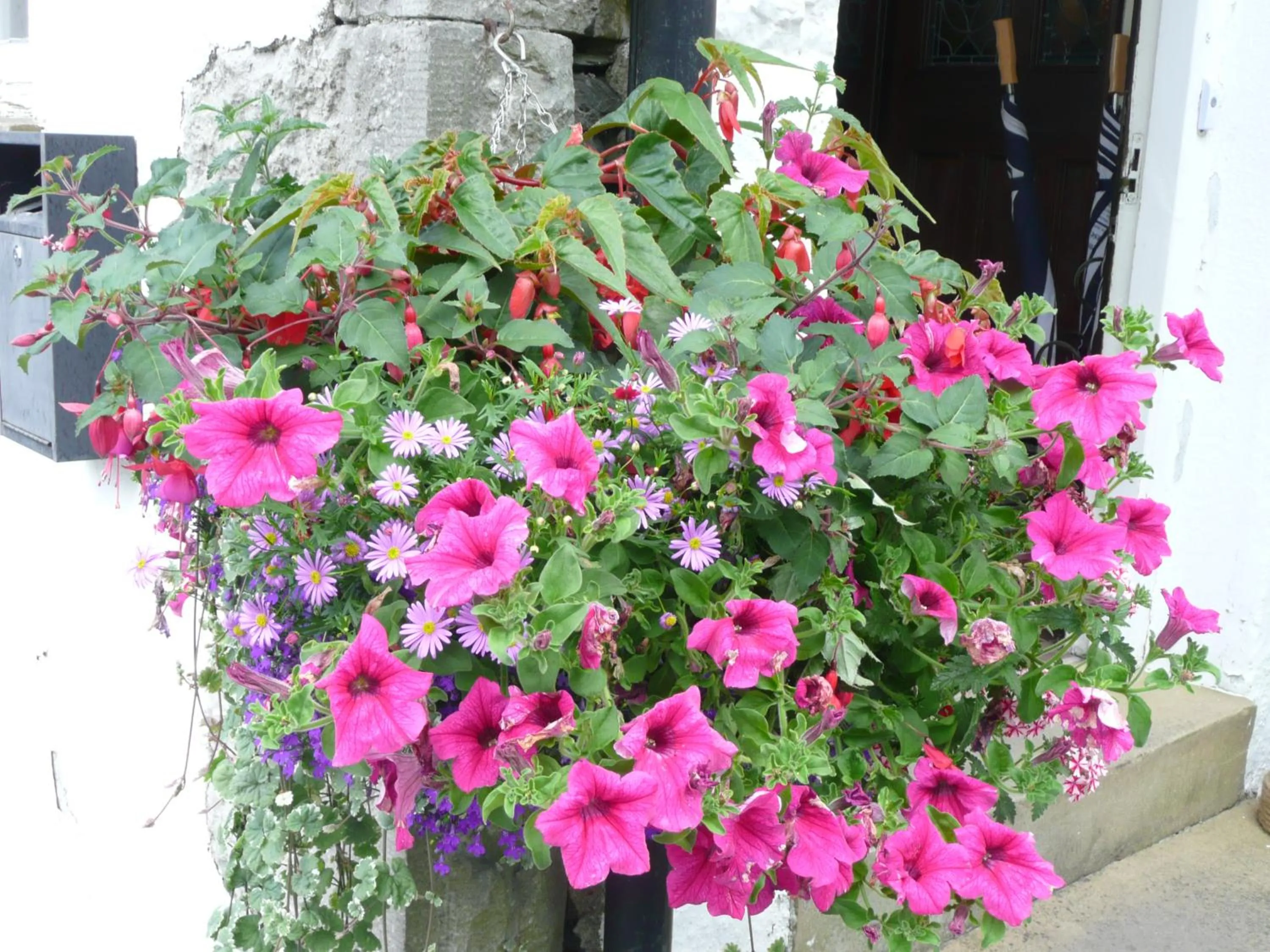 Facade/entrance in Glenville House - Adults Only - Incl FREE off-site health club with swimming pool, hot tub, sauna & steam room