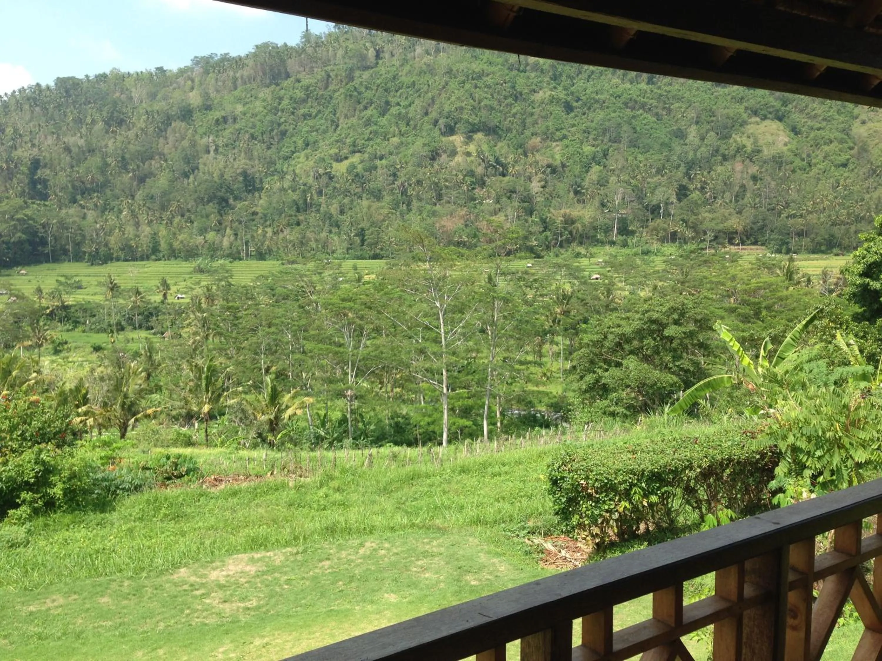 Mountain view in Nirarta Center For Living Awareness