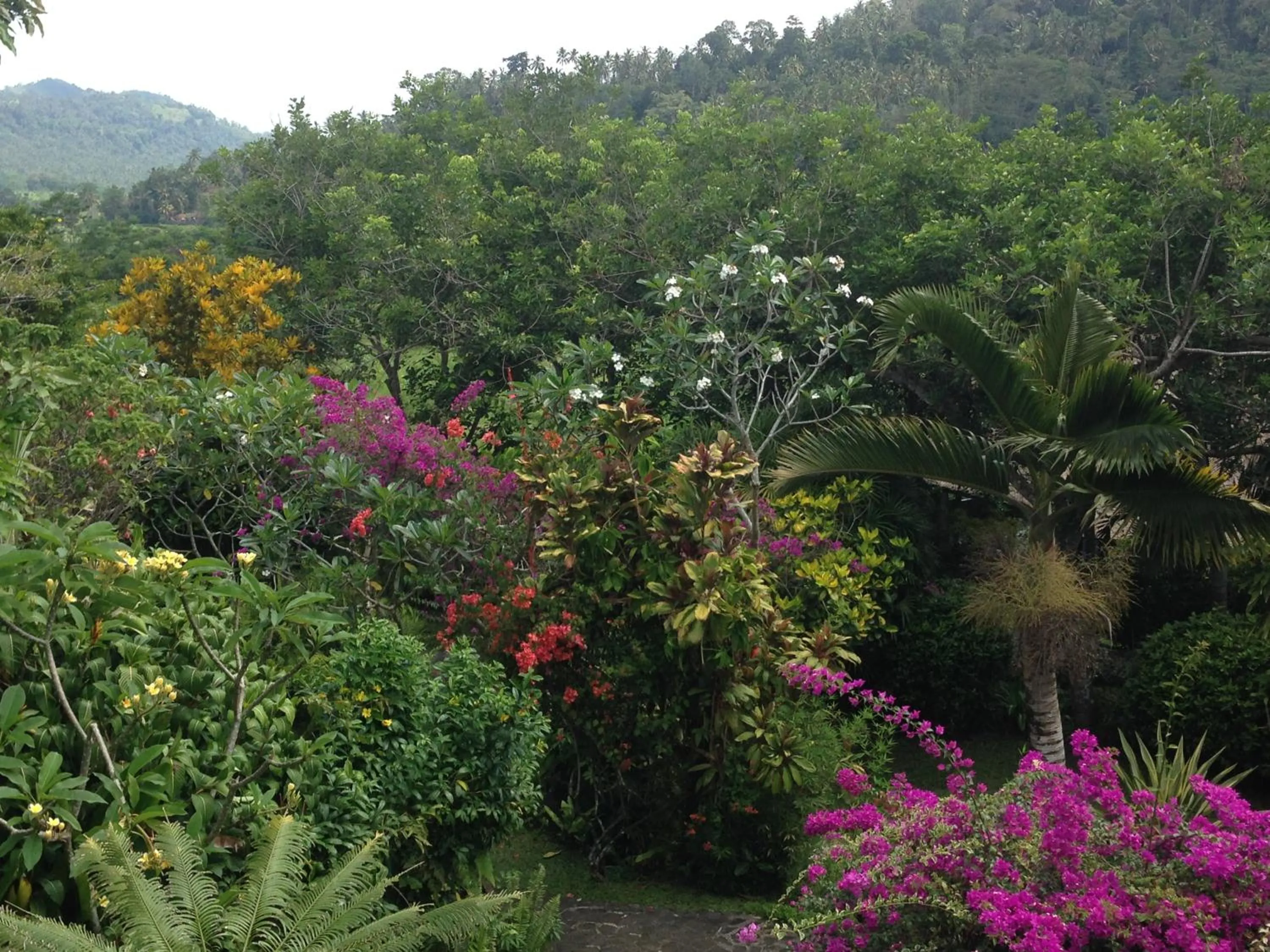 Garden view in Nirarta Center For Living Awareness