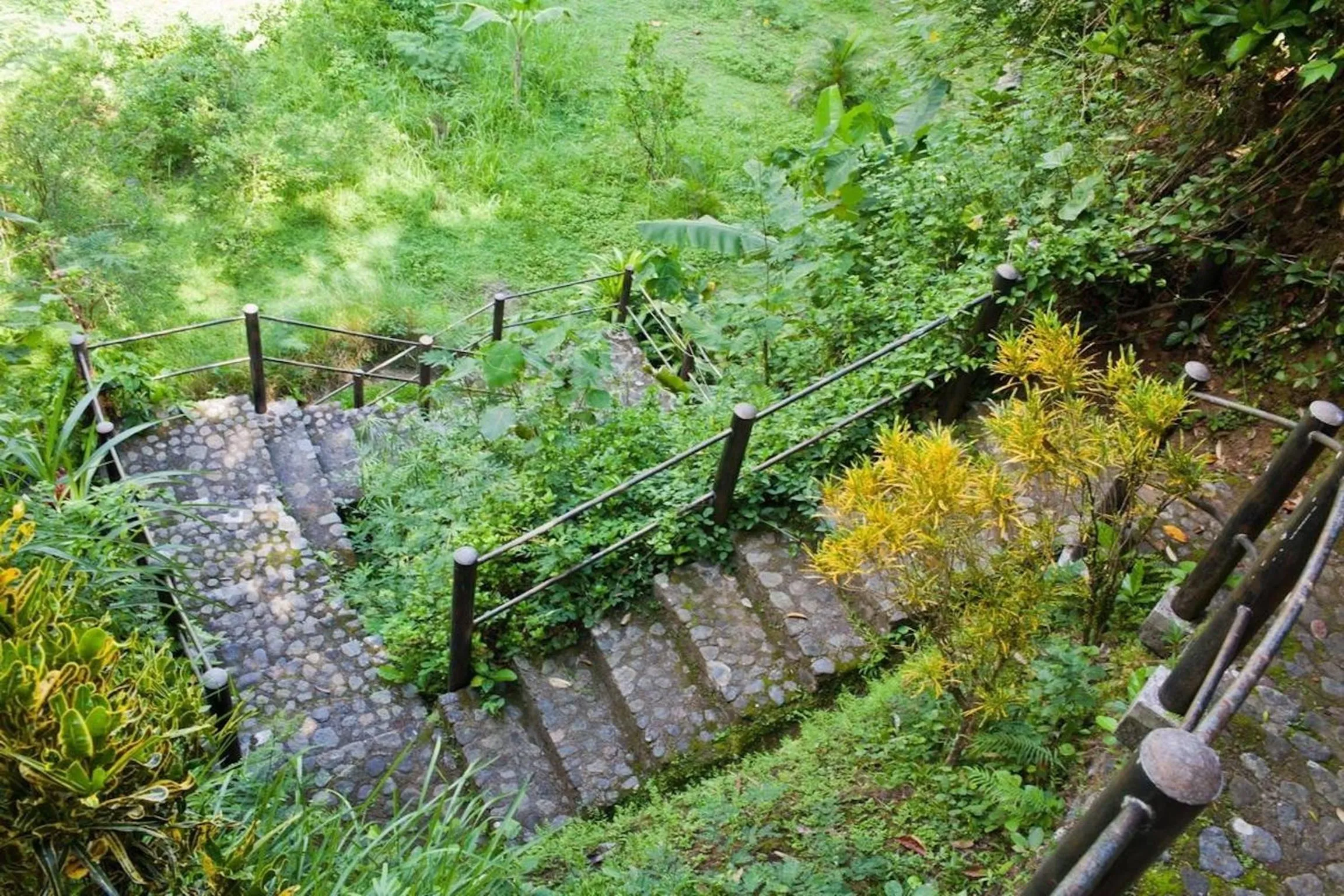 Garden in Nirarta Center For Living Awareness