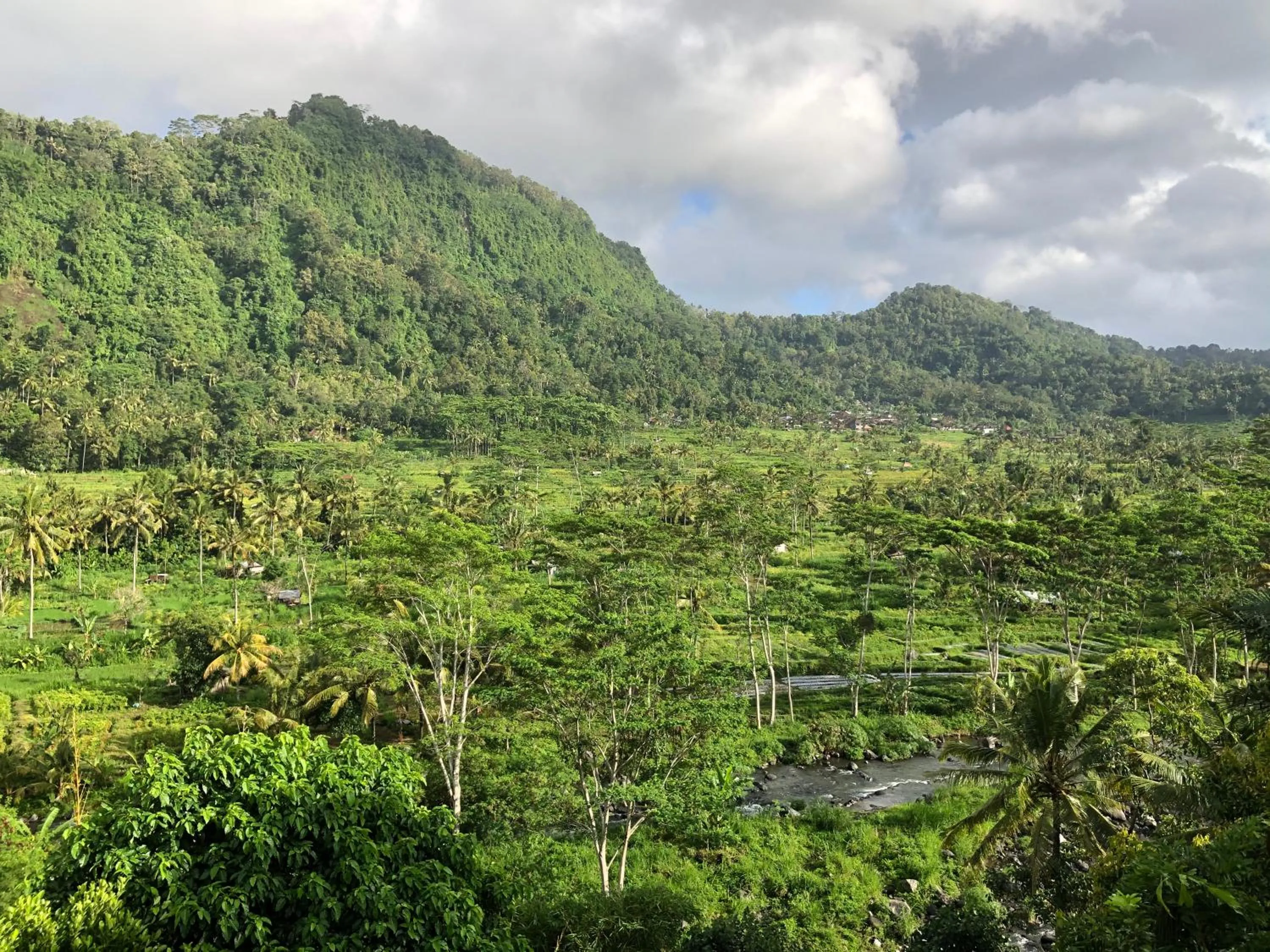 View (from property/room) in Nirarta Center For Living Awareness