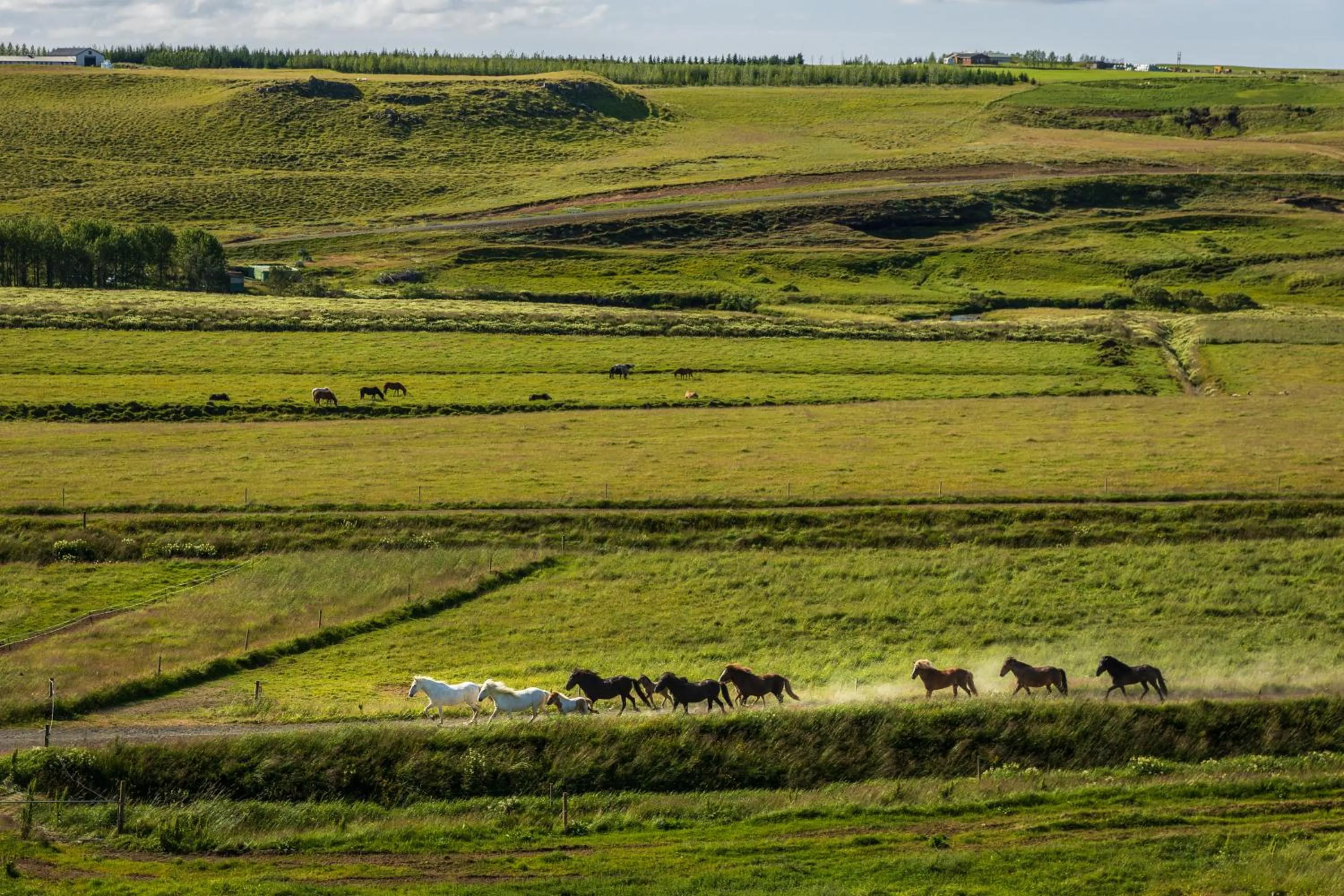 Property building in Hestheimar