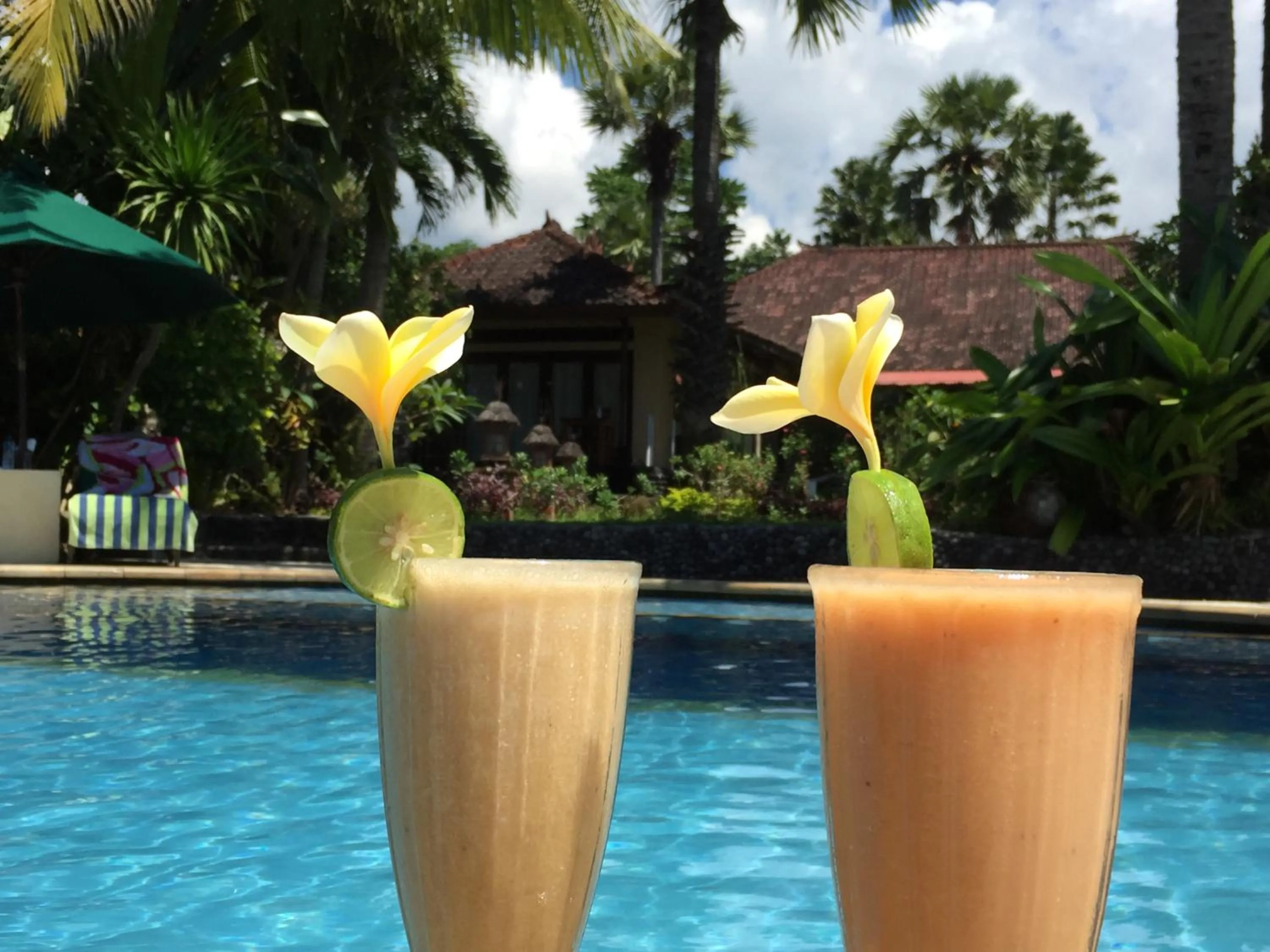 Swimming pool in Kebun Impian