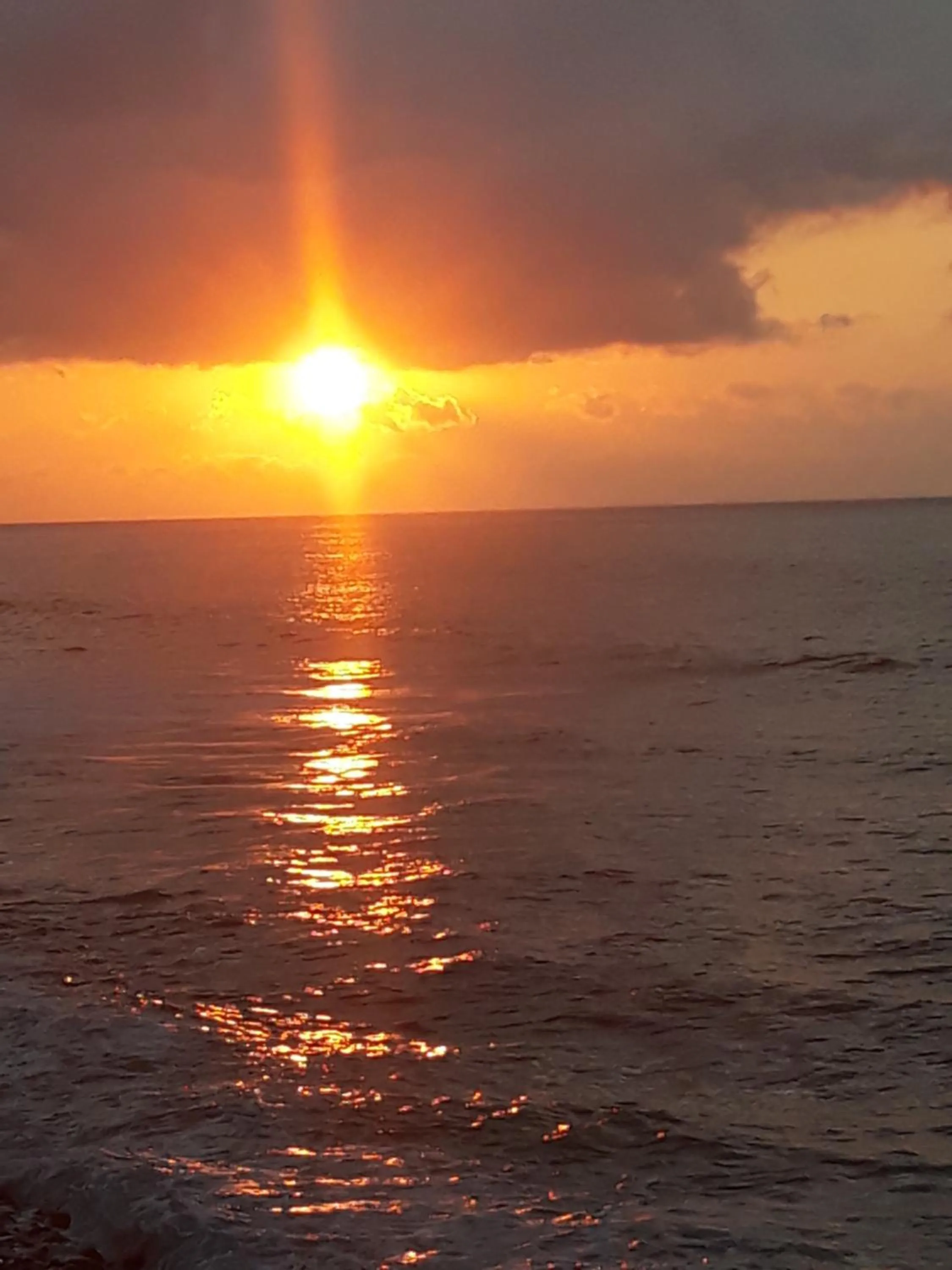 Natural landscape in Kebun Impian