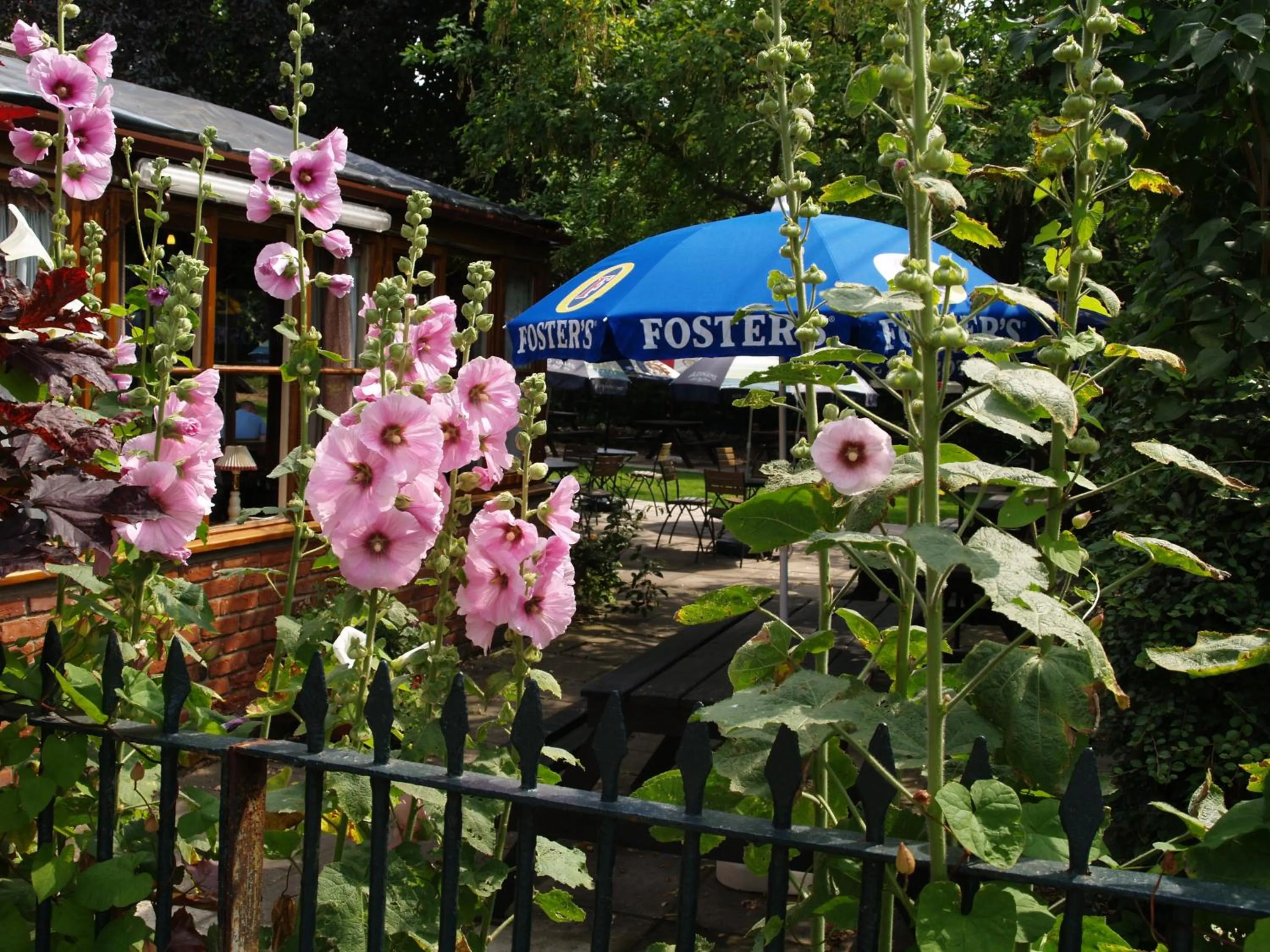 Other in The Olde Windmill Inn