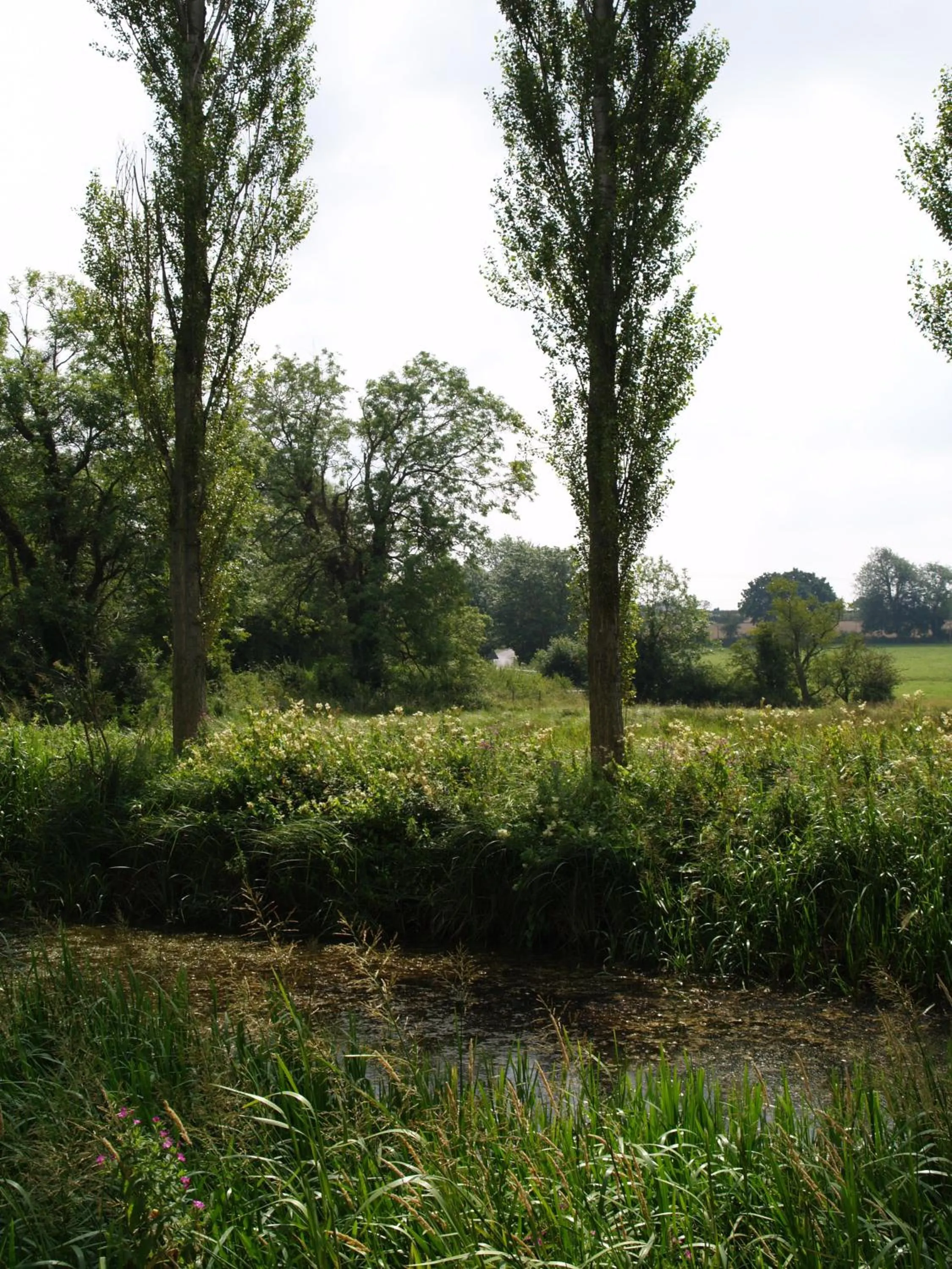Natural landscape in The Olde Windmill Inn
