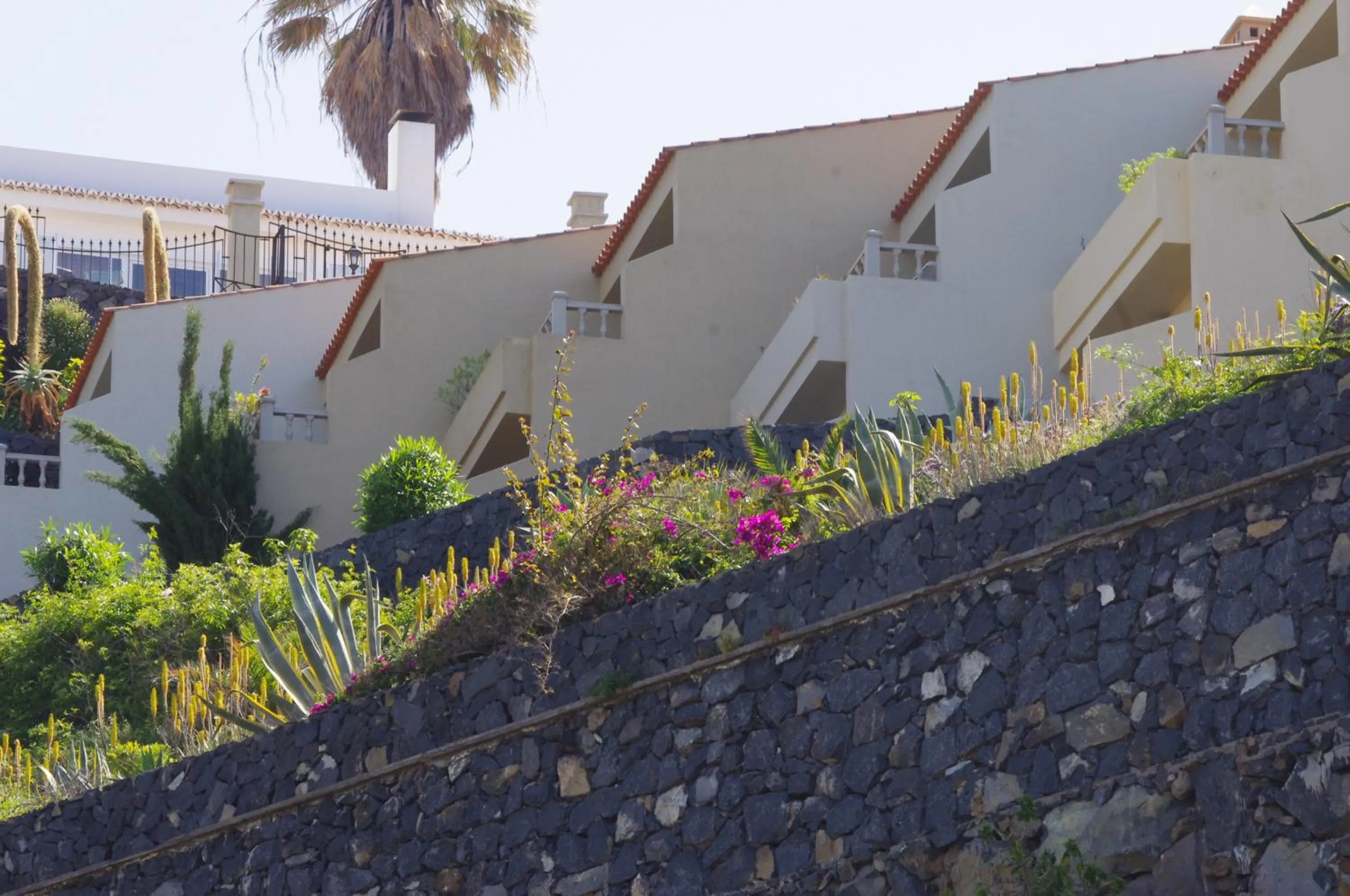 View (from property/room) in Apartamentos Playa de Los Roques