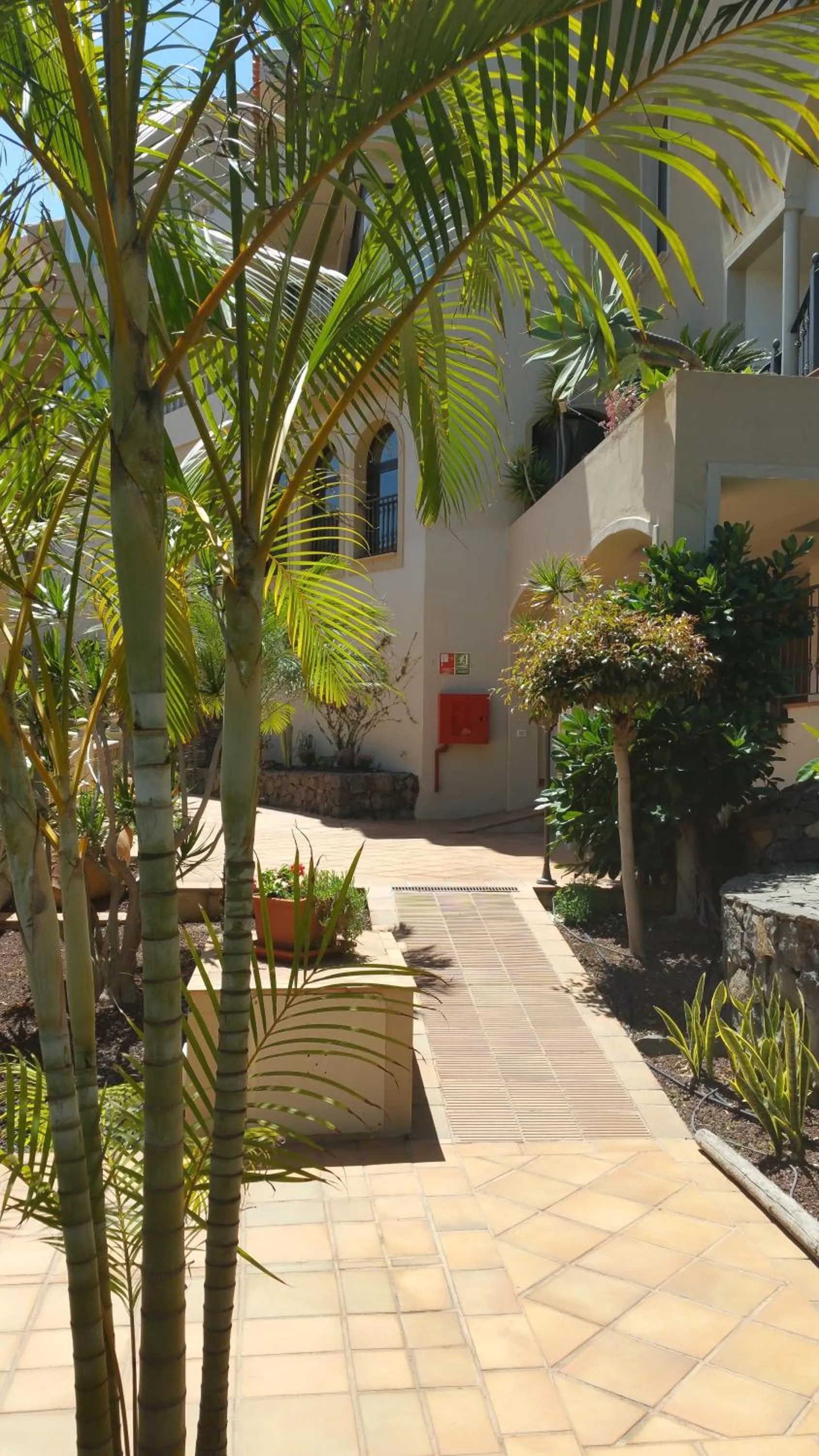 Area and facilities in Apartamentos Playa de Los Roques