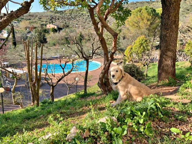 SetterHouseAgriHotel