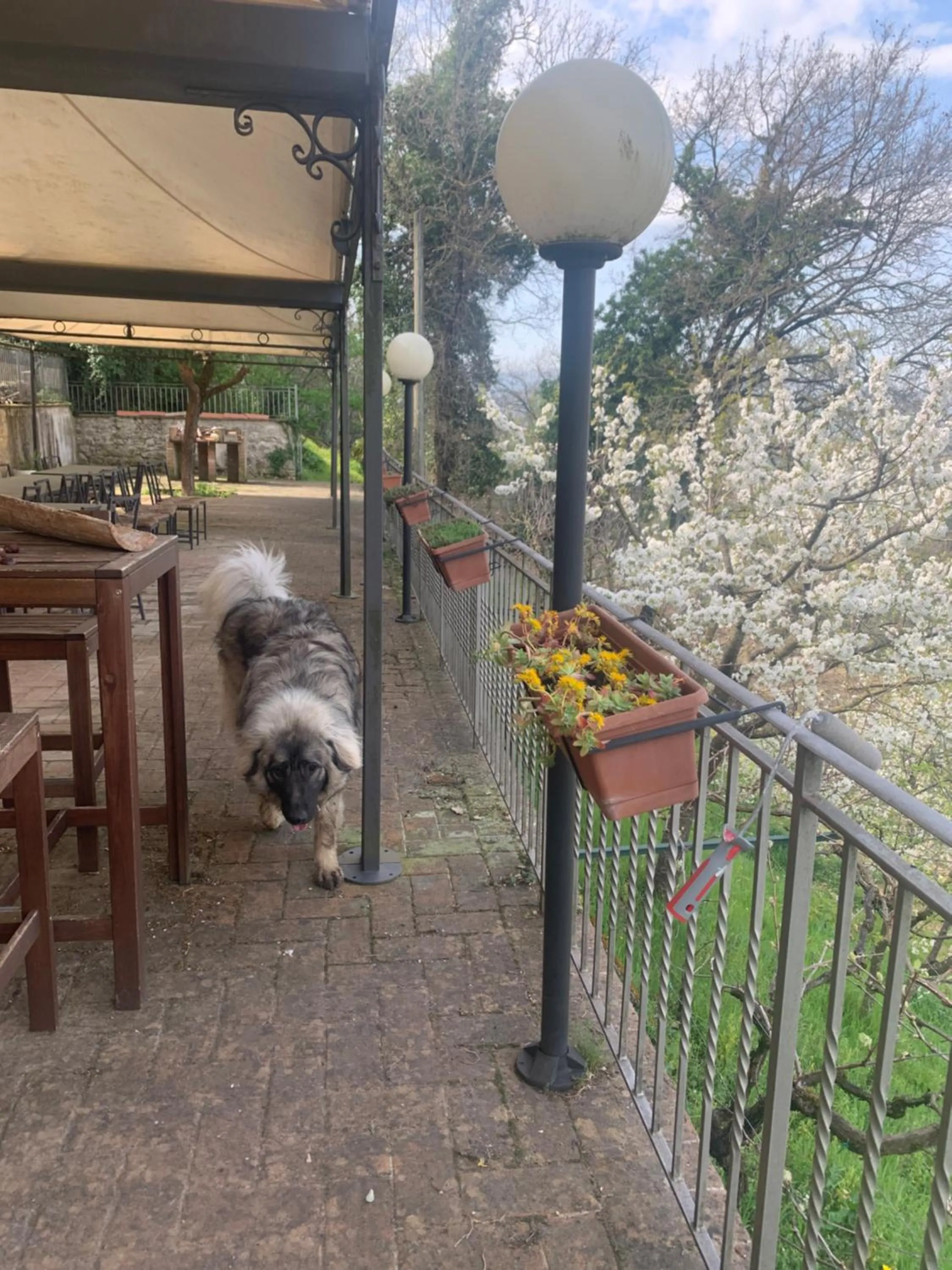 SetterHouseAgriHotel