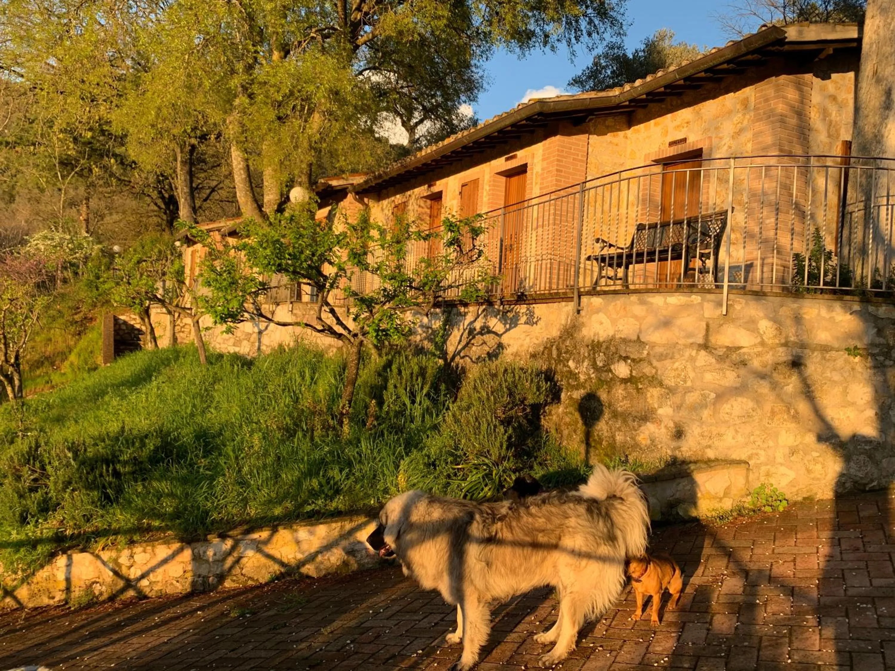 SetterHouseAgriHotel