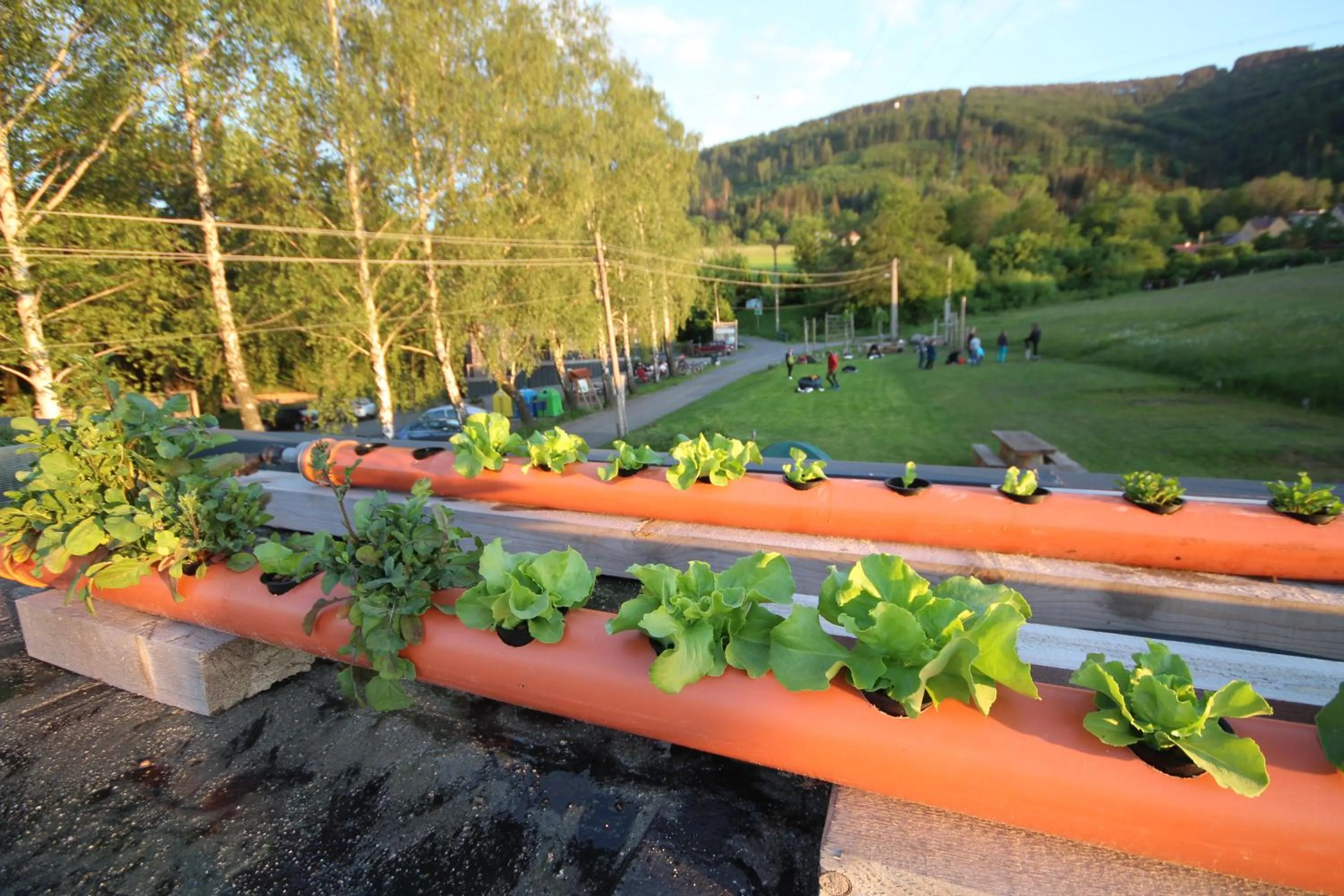 Garden in Flight Park Javorovy