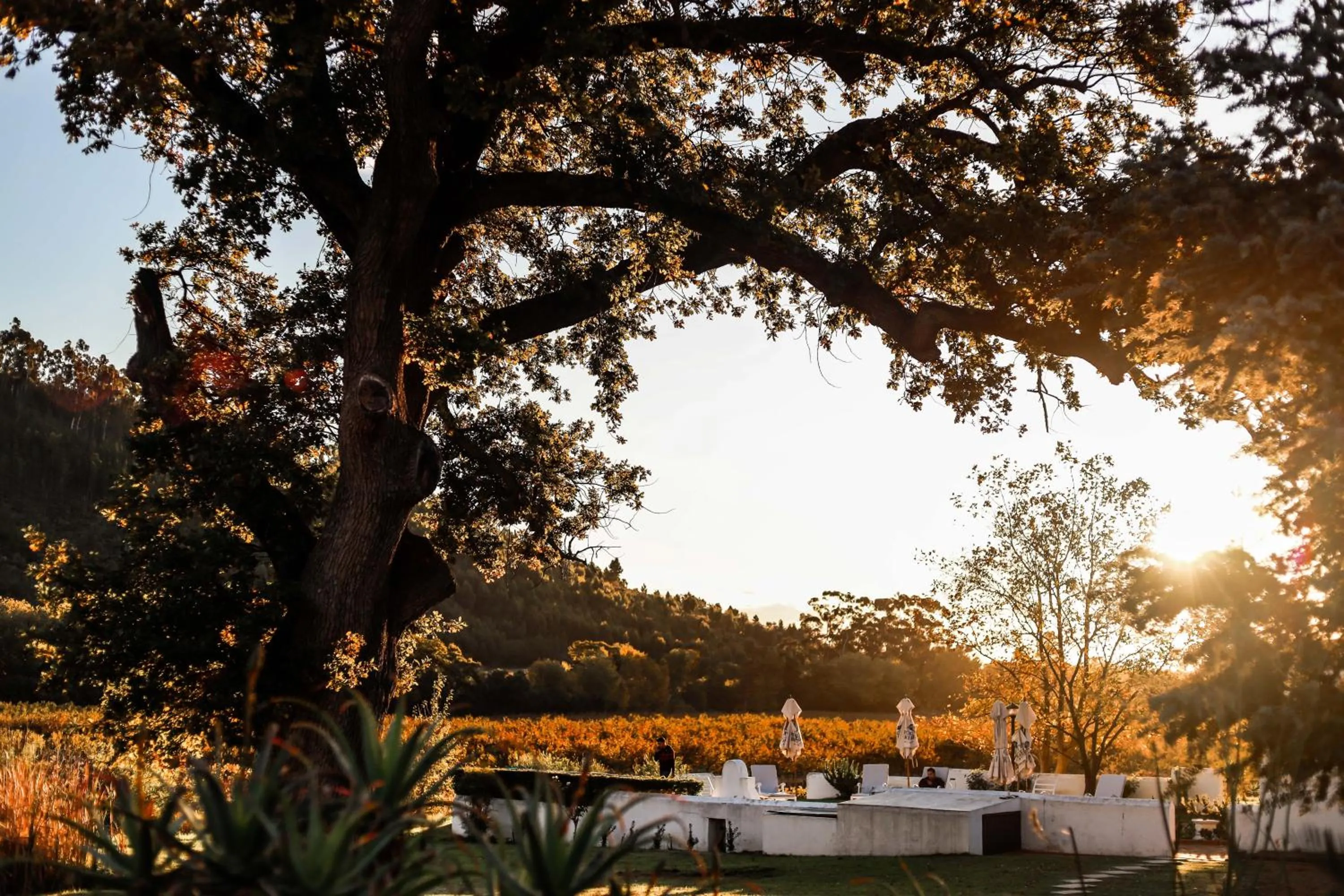Garden in Basse Provence Country House