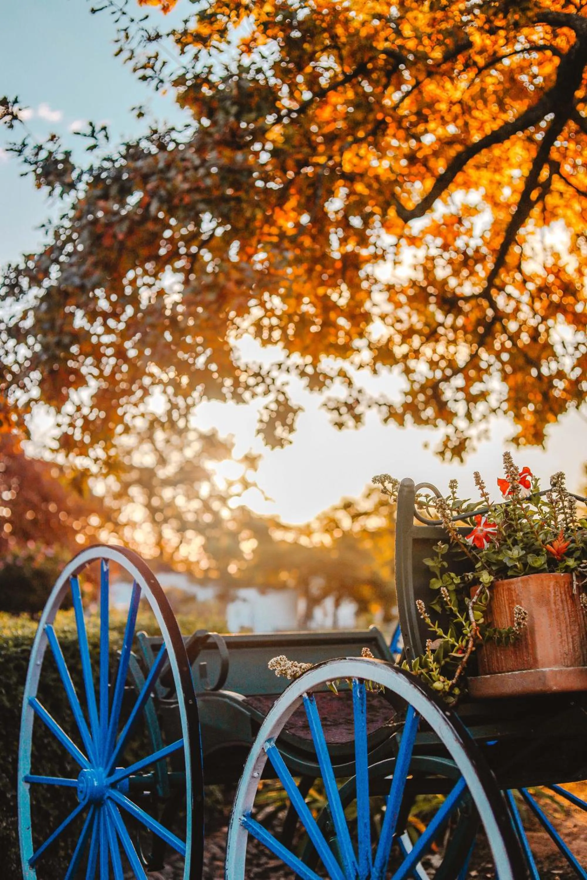 Day in Basse Provence Country House