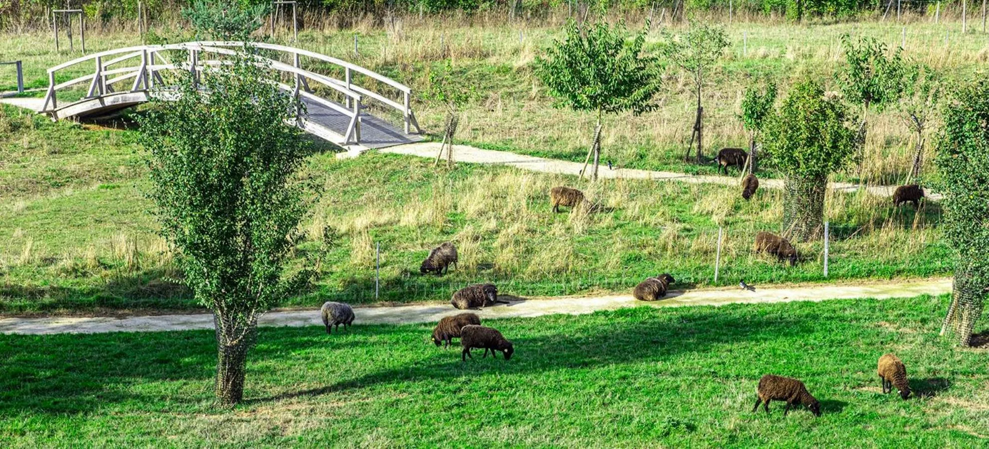 Natural landscape in Le Green des Impressionnistes