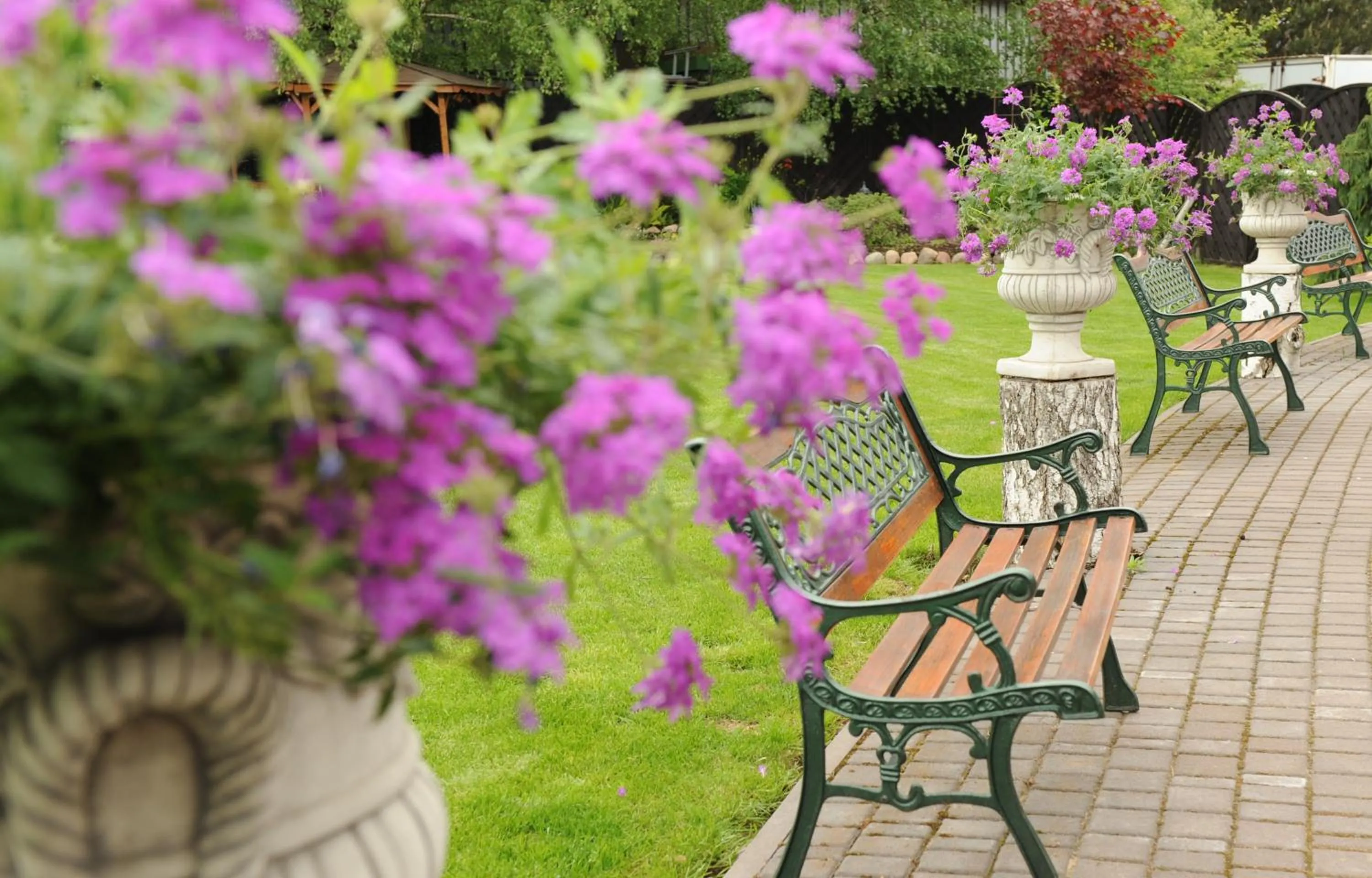 Restaurant/places to eat in Hotel Astra Tajemniczy Ogród