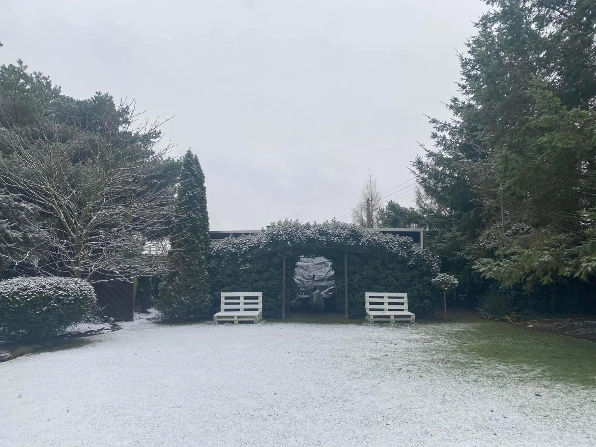 Garden in Hotel Astra Tajemniczy Ogród