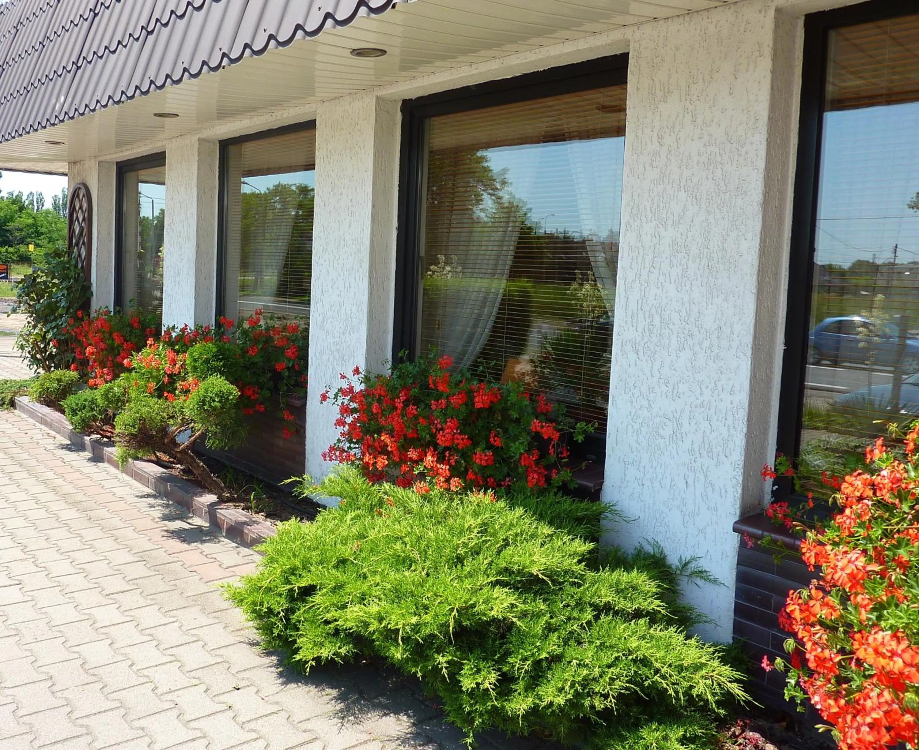 Restaurant/places to eat in Hotel Astra Tajemniczy Ogród