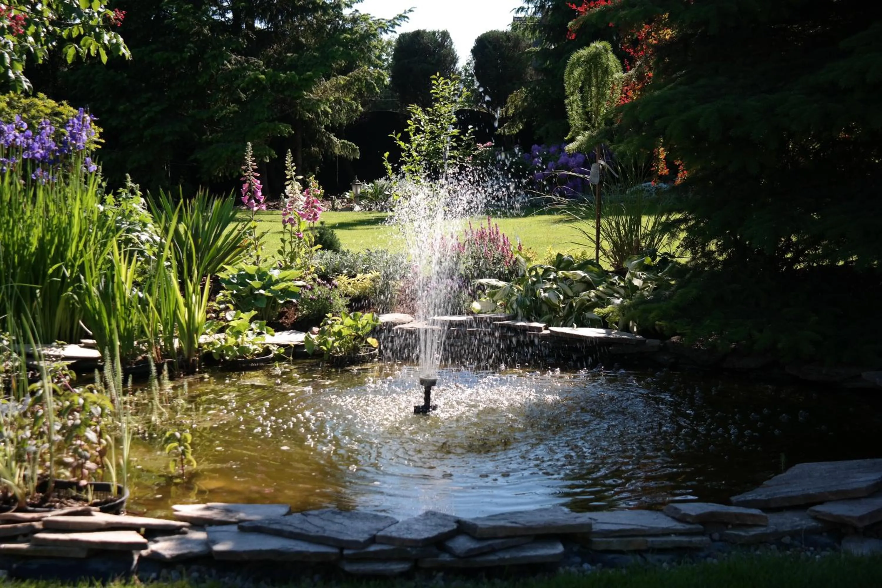 Natural landscape in Hotel Astra Tajemniczy Ogród