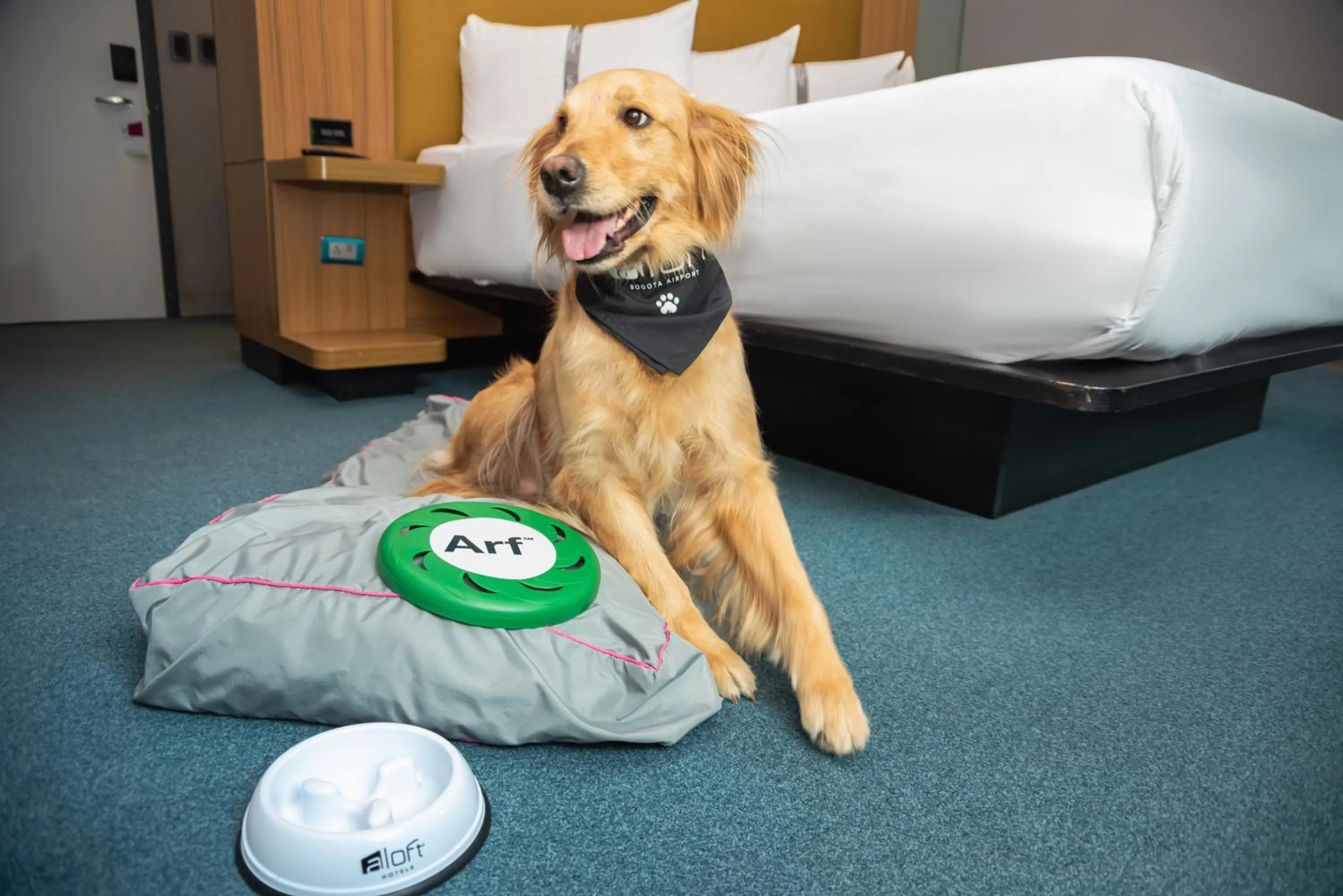Bedroom in Aloft Bogotá Airport
