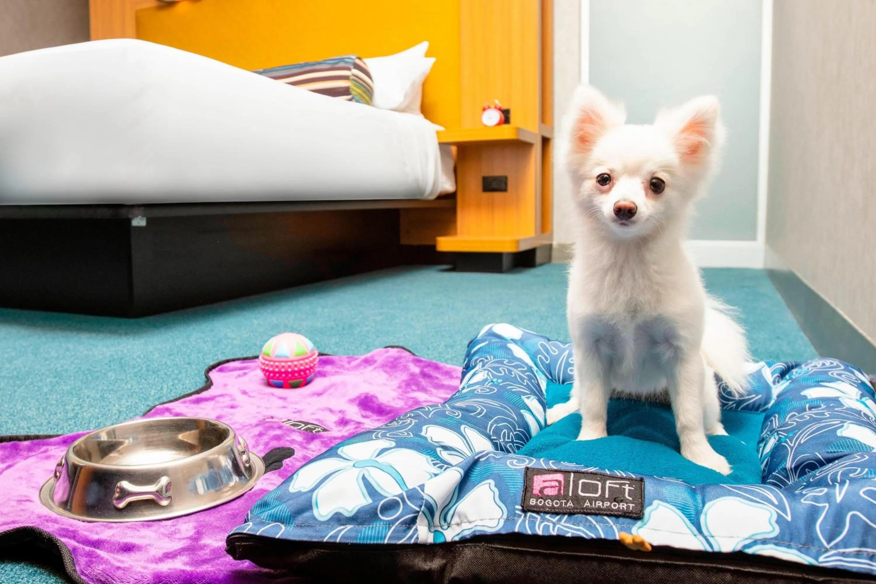 Other in Aloft Bogotá Airport