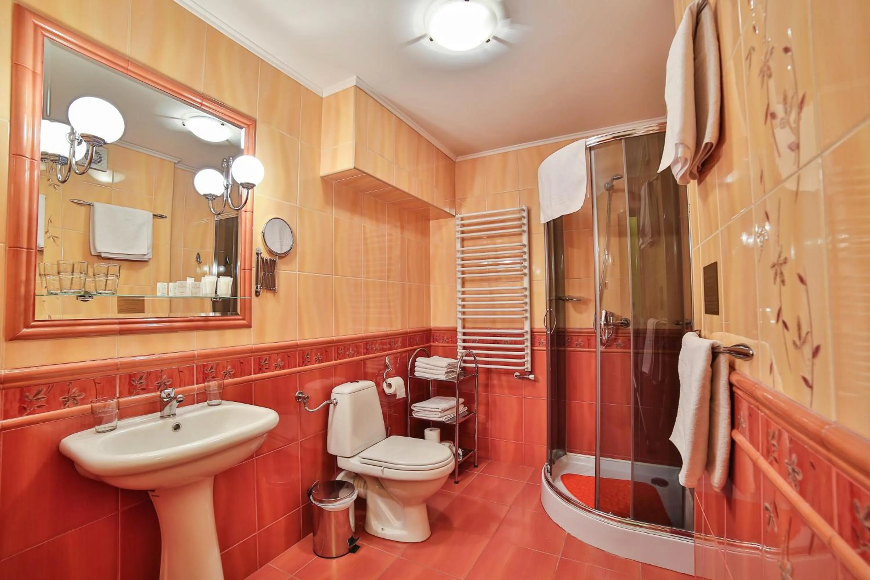 Shower in Hotel Wiosna