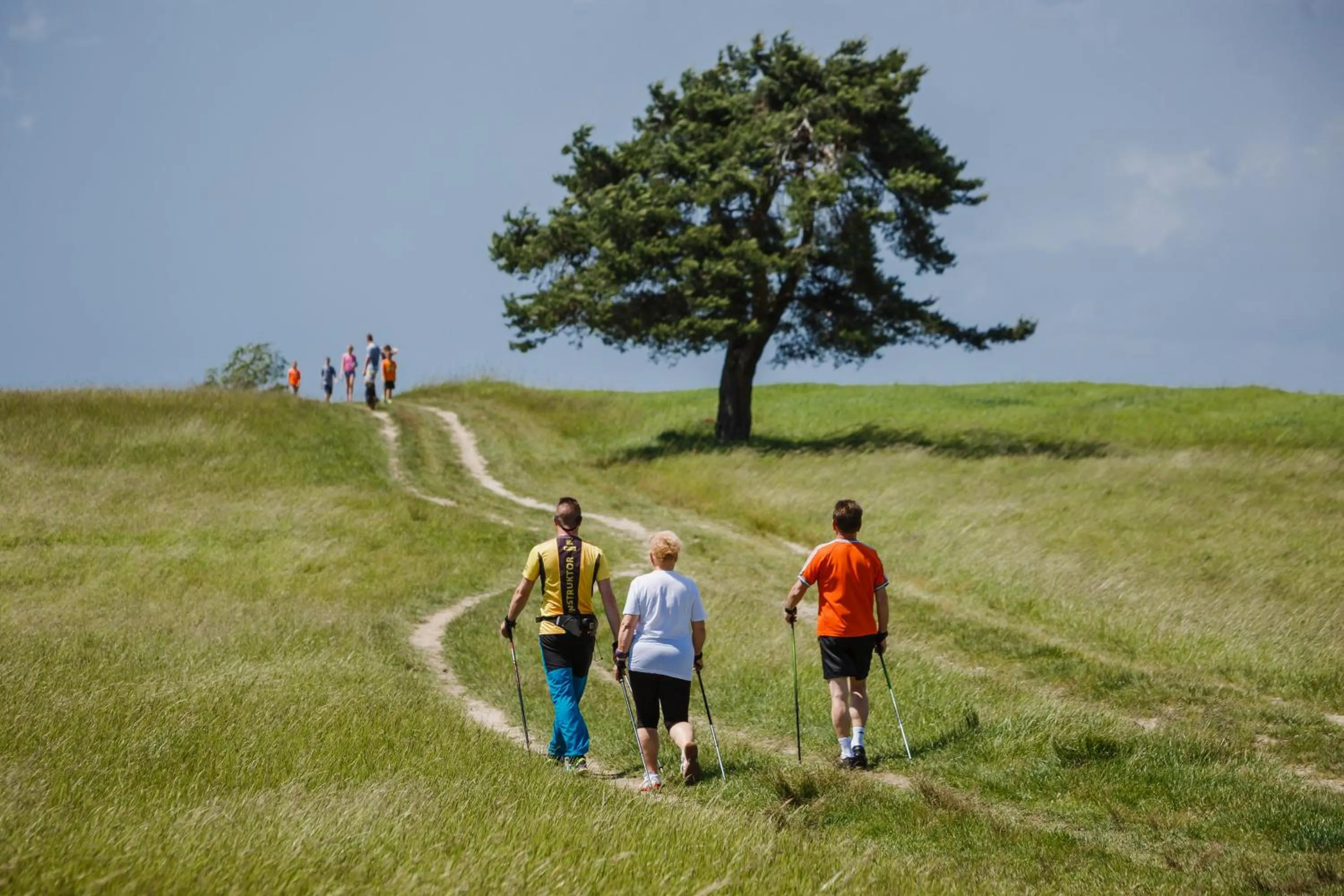 Neighbourhood in Hotel Wiosna