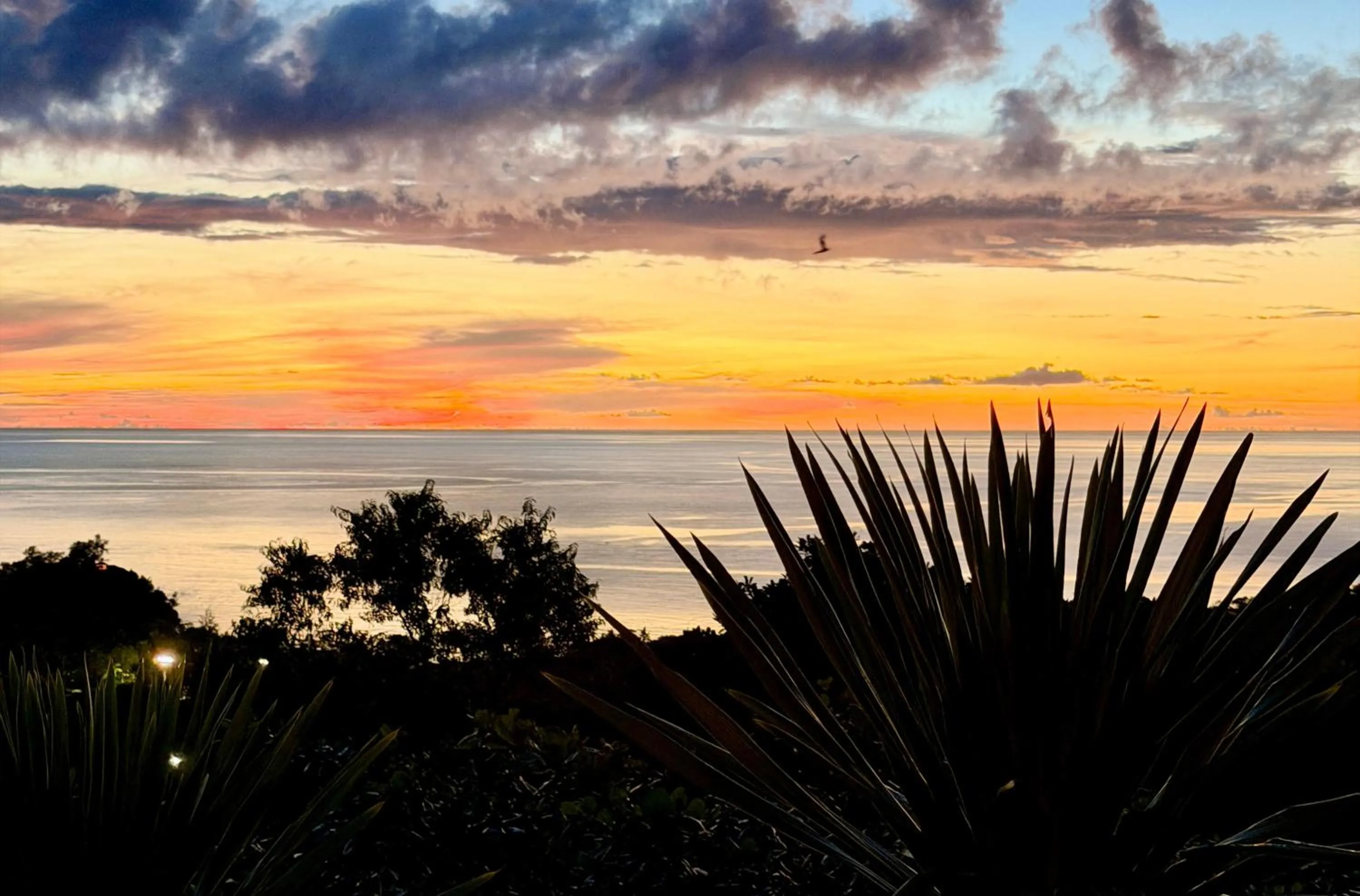 View (from property/room) in Palau Carolines Resort