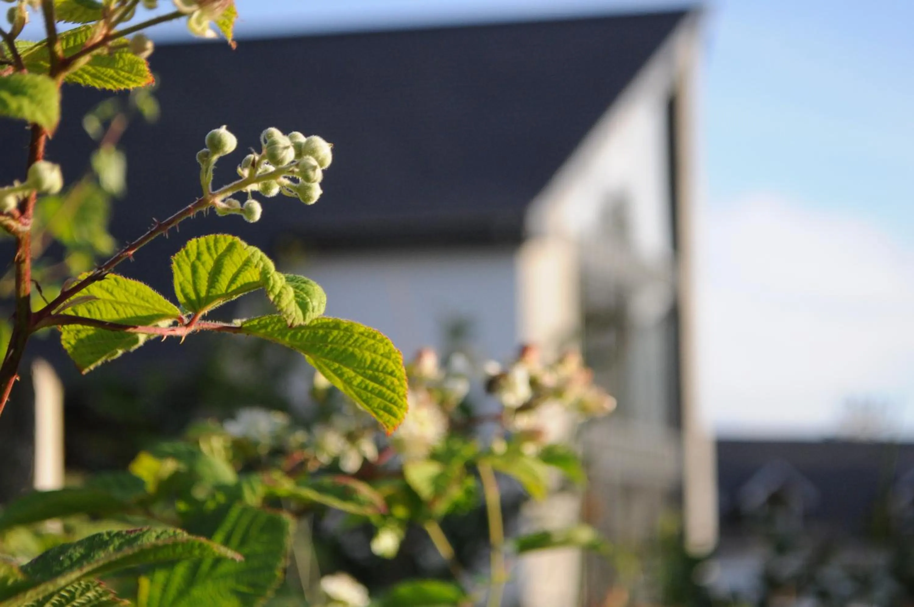 Facade/entrance in The Corran